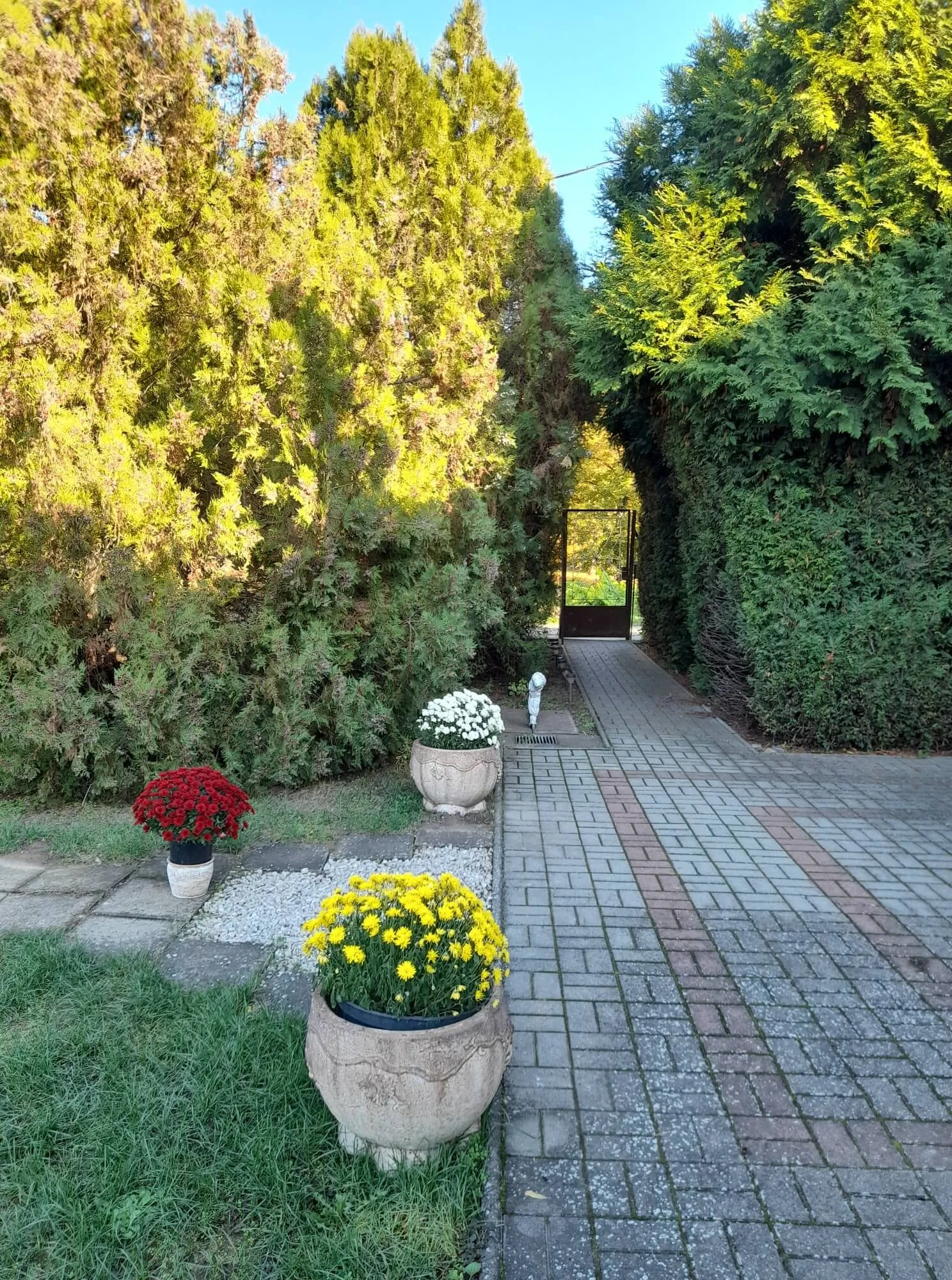 Harmónia Ház Makó – Macău, Ungaria