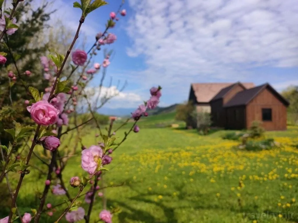 Cabana Organicle Lodge & Tiny Sâncrăieni – Sâncrăieni, România