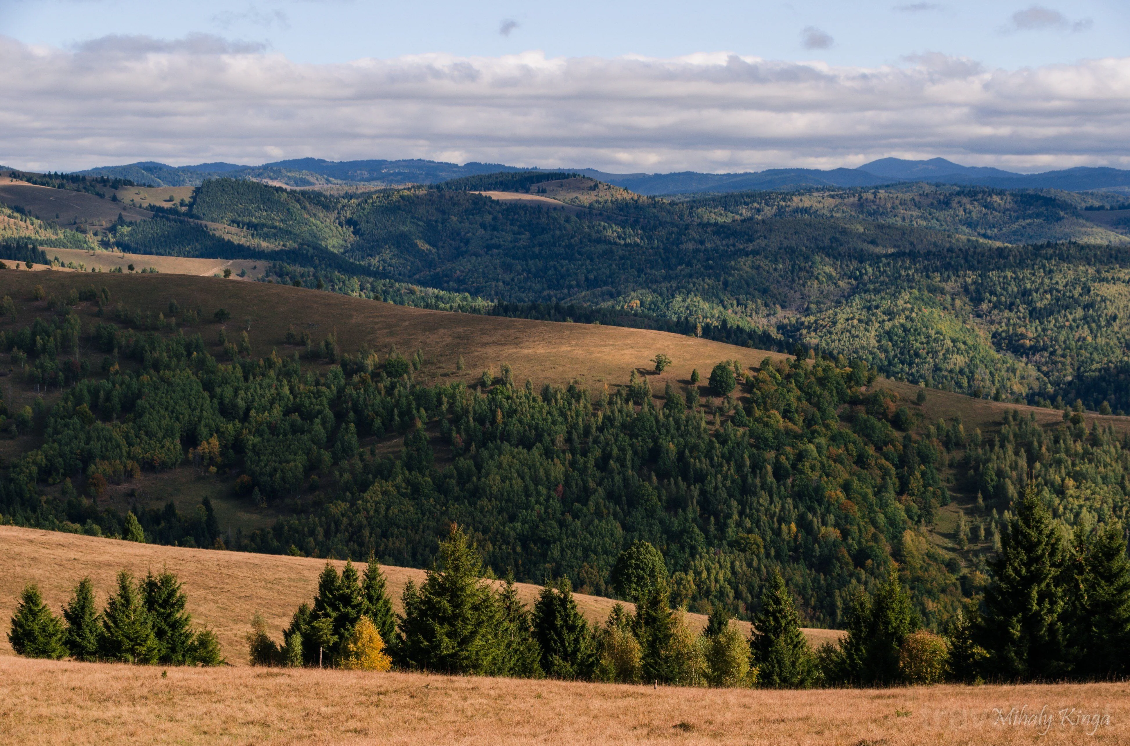 Cabana Organicle Lodge & Tiny Sâncrăieni – Sâncrăieni, România