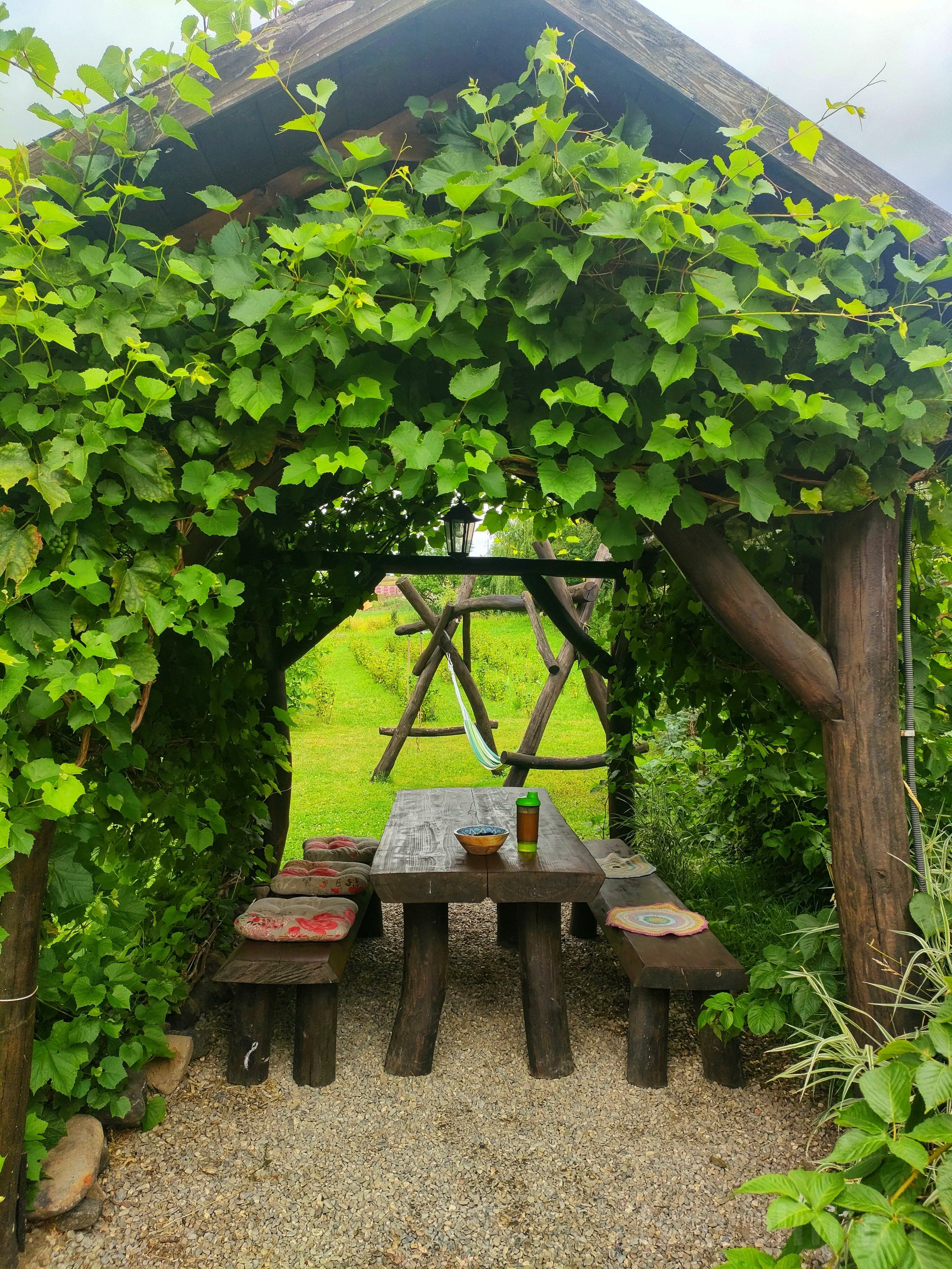 Cabana Organicle Lodge & Tiny Sâncrăieni – Sâncrăieni, România