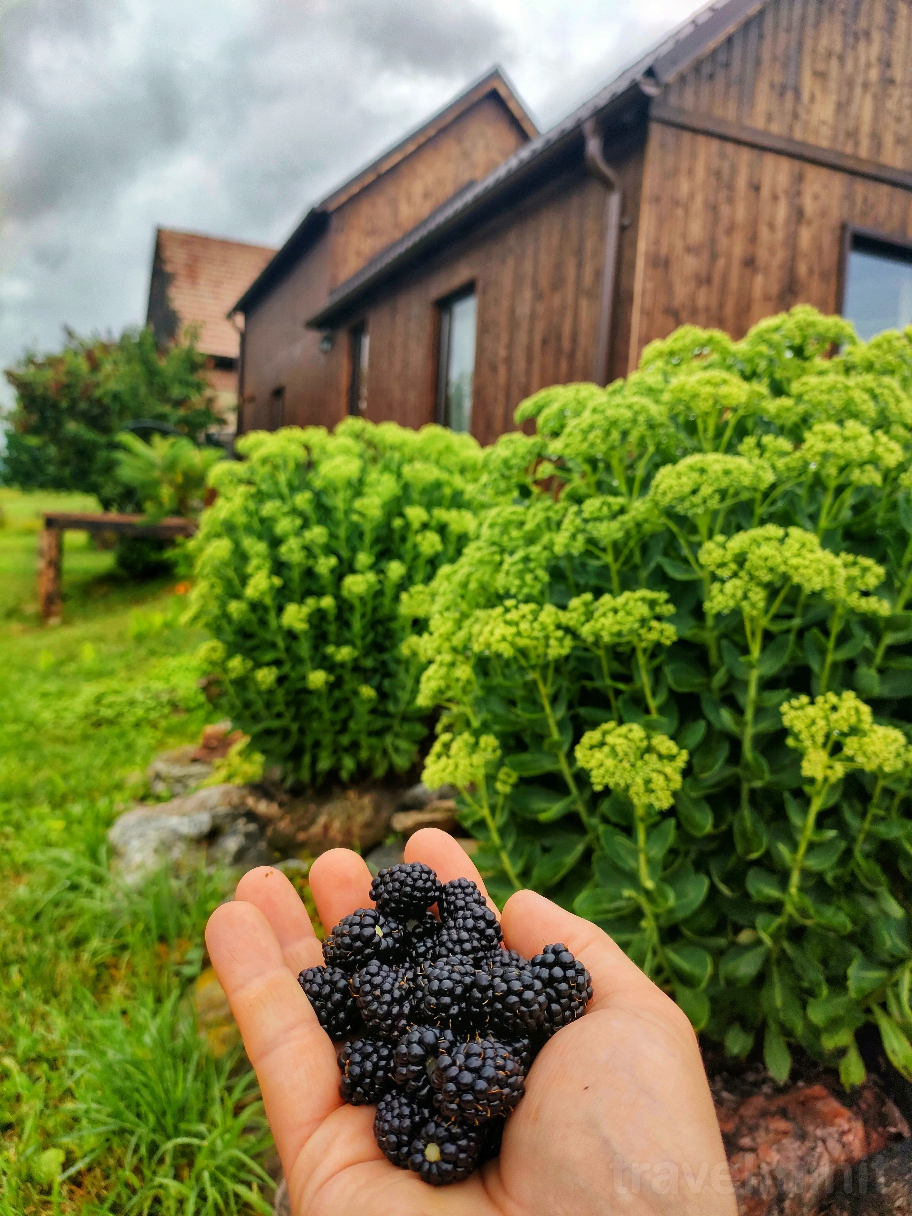 Cabana Organicle Lodge & Tiny Sâncrăieni – Sâncrăieni, România