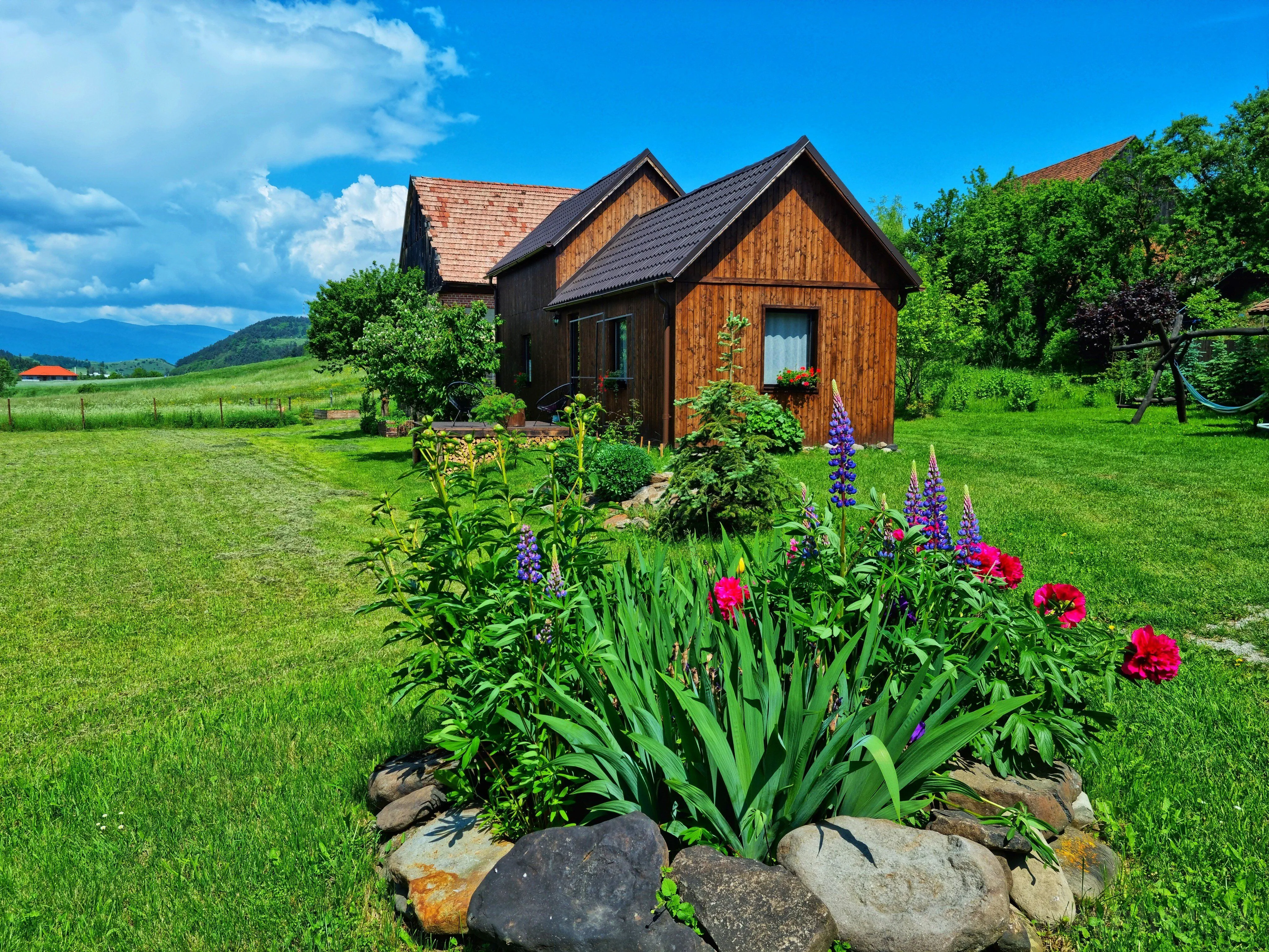 Cabana Organicle Lodge & Tiny Sâncrăieni – Sâncrăieni, România
