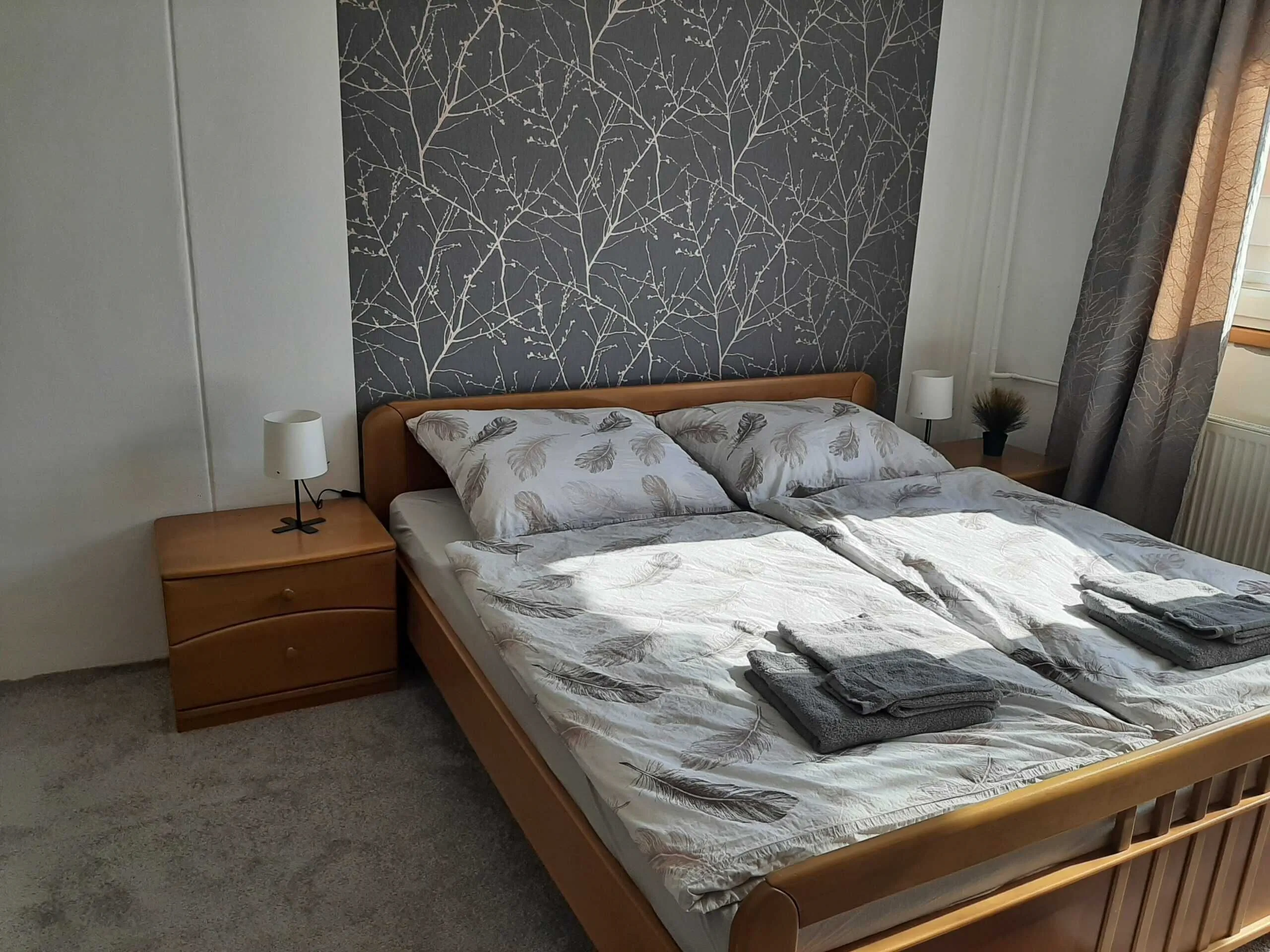 Apartmán Helena Harrachov – Harrachov, Česká republika