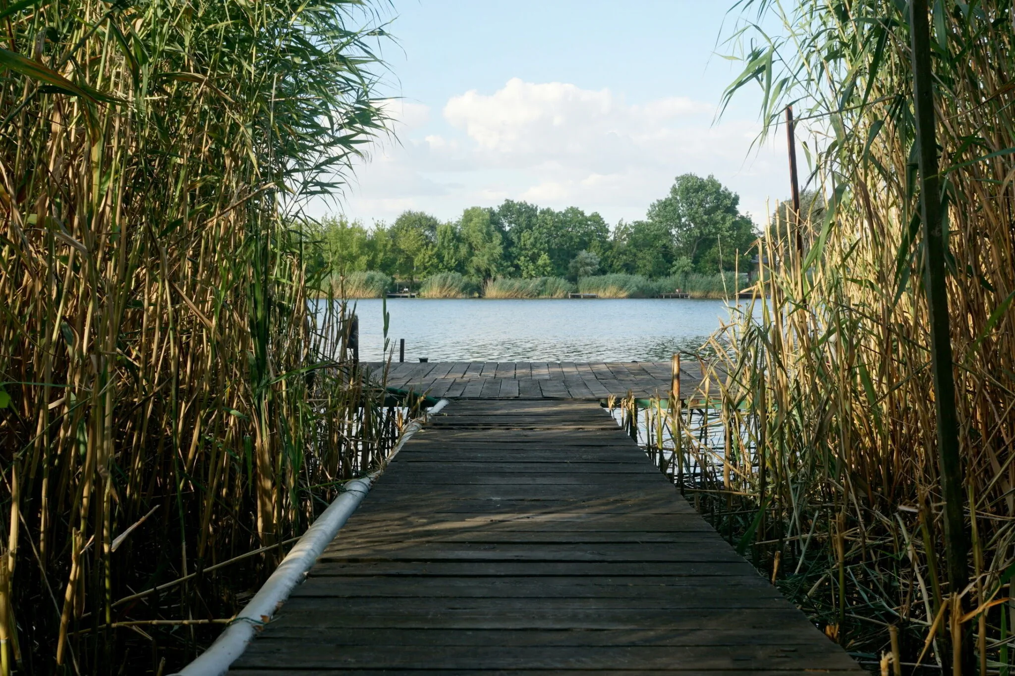 Kis Tisza Horgász Vendégház Tiszaug - foto 1