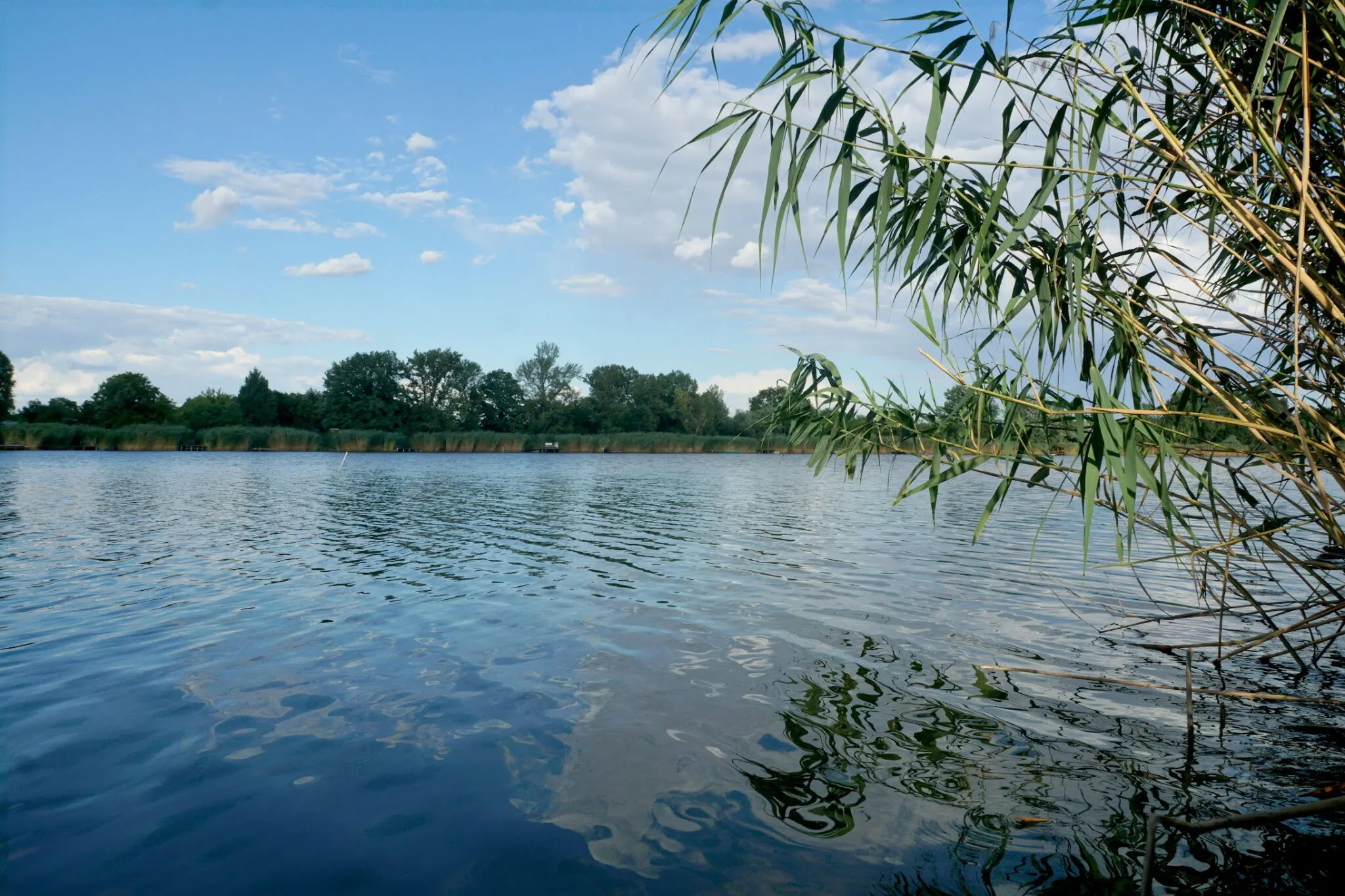 Kis Tisza Horgász Vendégház Tiszaug - foto 4