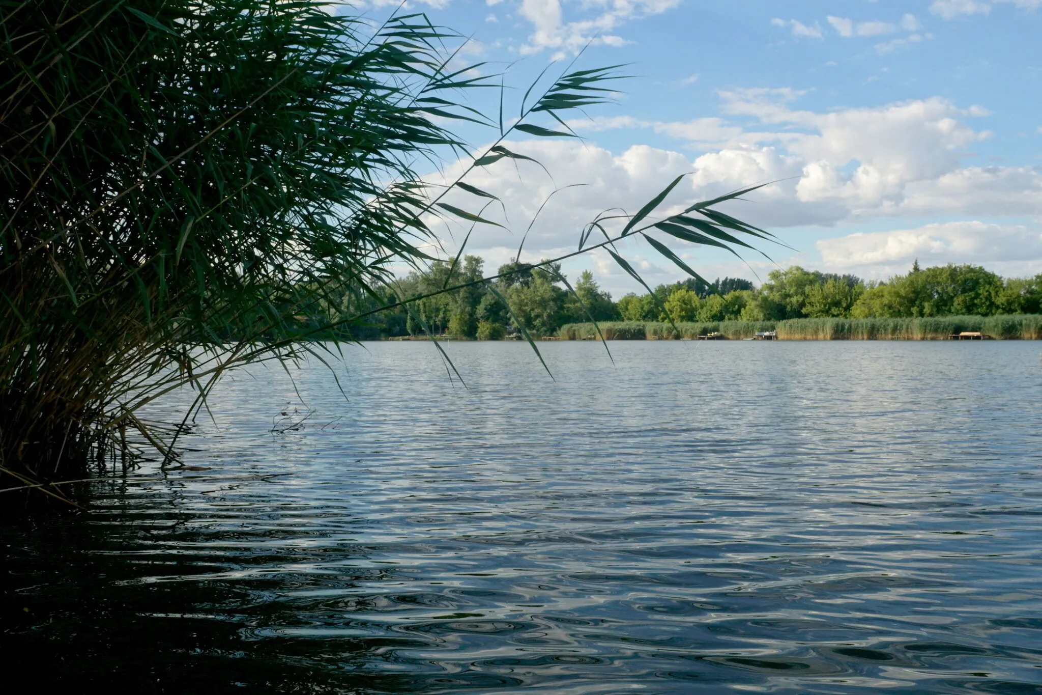 Kis Tisza Horgász Vendégház Tiszaug - foto 5