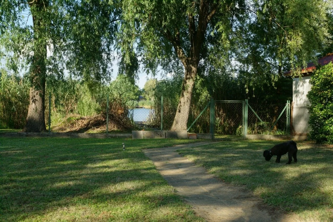 Kis Tisza Horgász Vendégház Tiszaug - foto 6