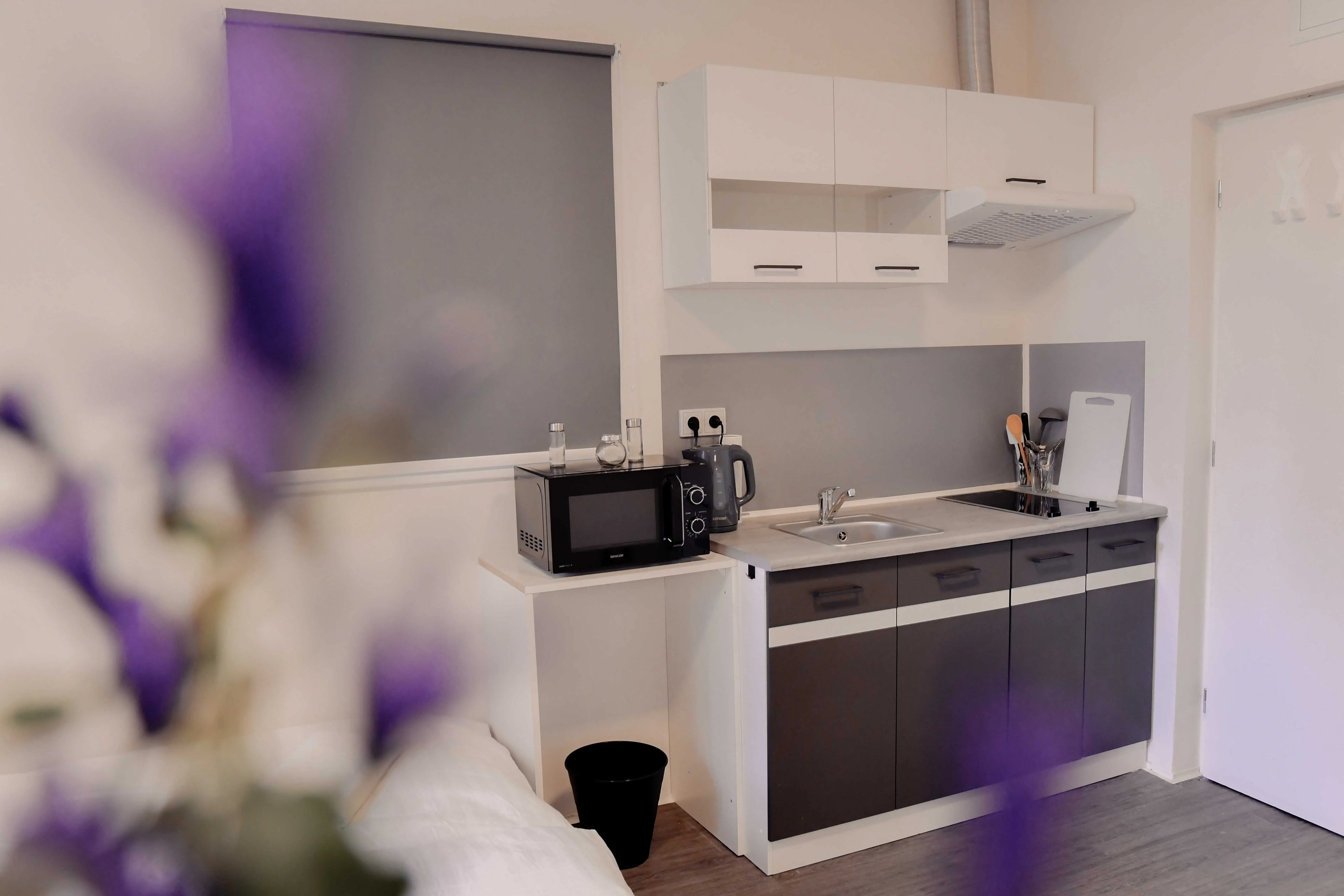 Apartmány Centrum Nový Bor – Nový Bor, Česká republika