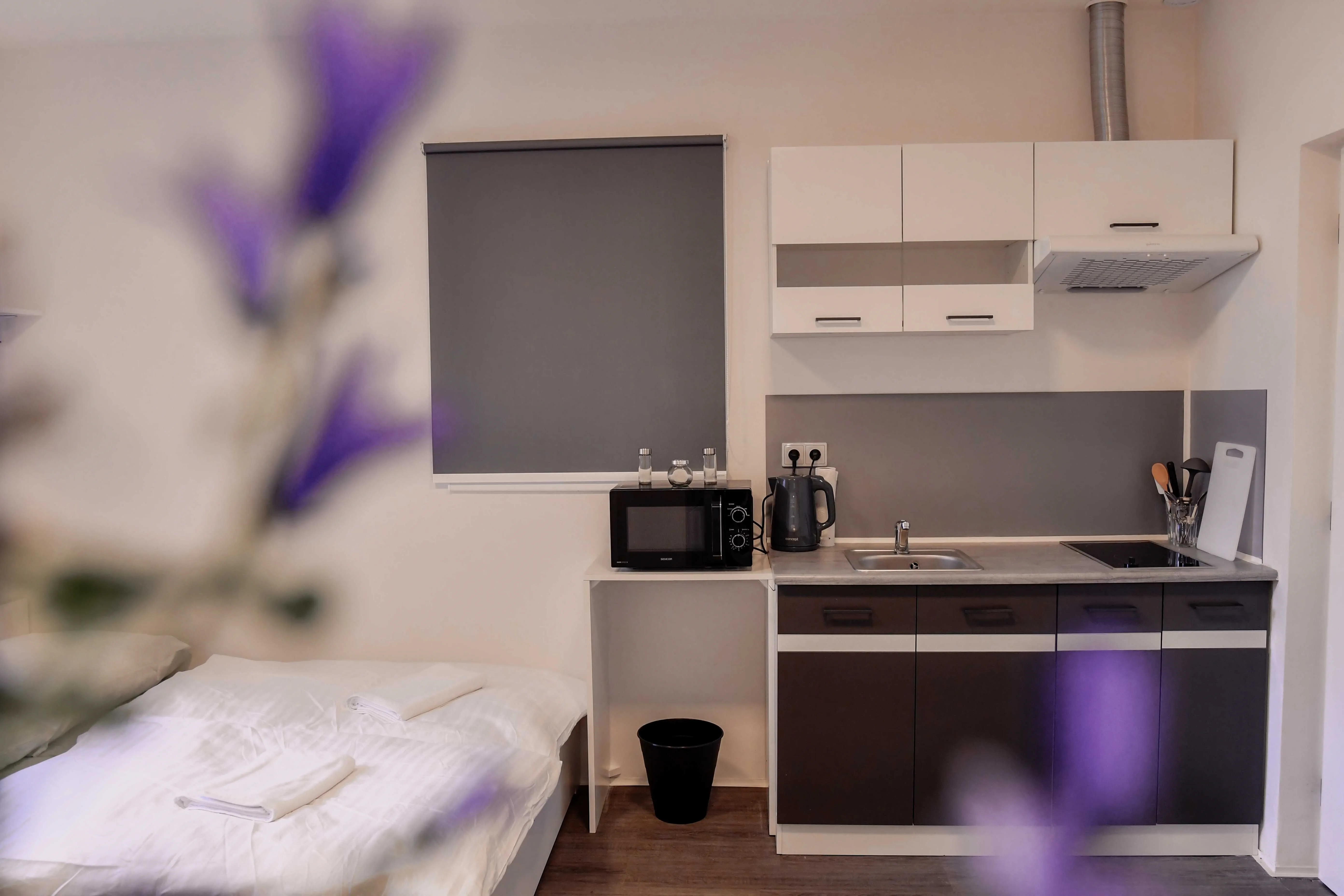 Apartmány Centrum Nový Bor – Nový Bor, Česká republika