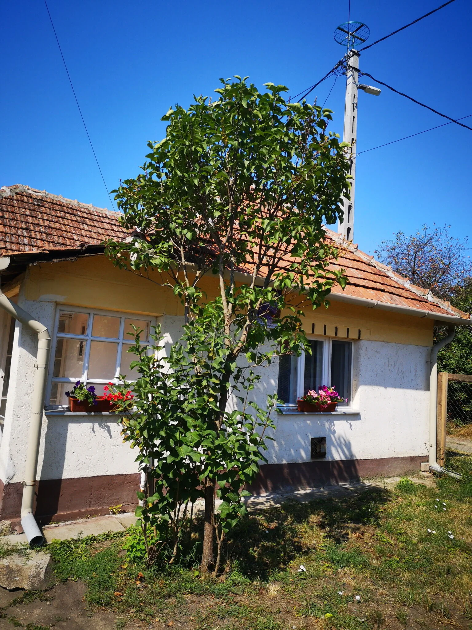 Búzavirág Vendégház Poroszló – Poroszló, Maďarsko