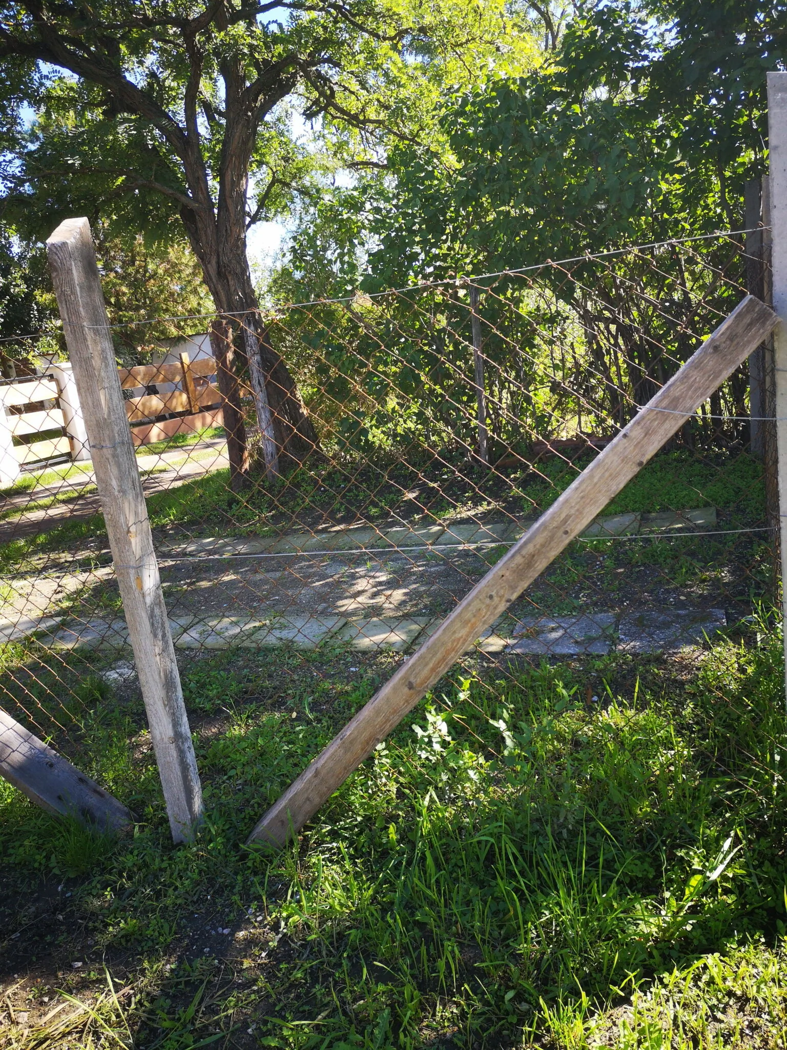 Búzavirág Vendégház Poroszló – Poroszló, Maďarsko