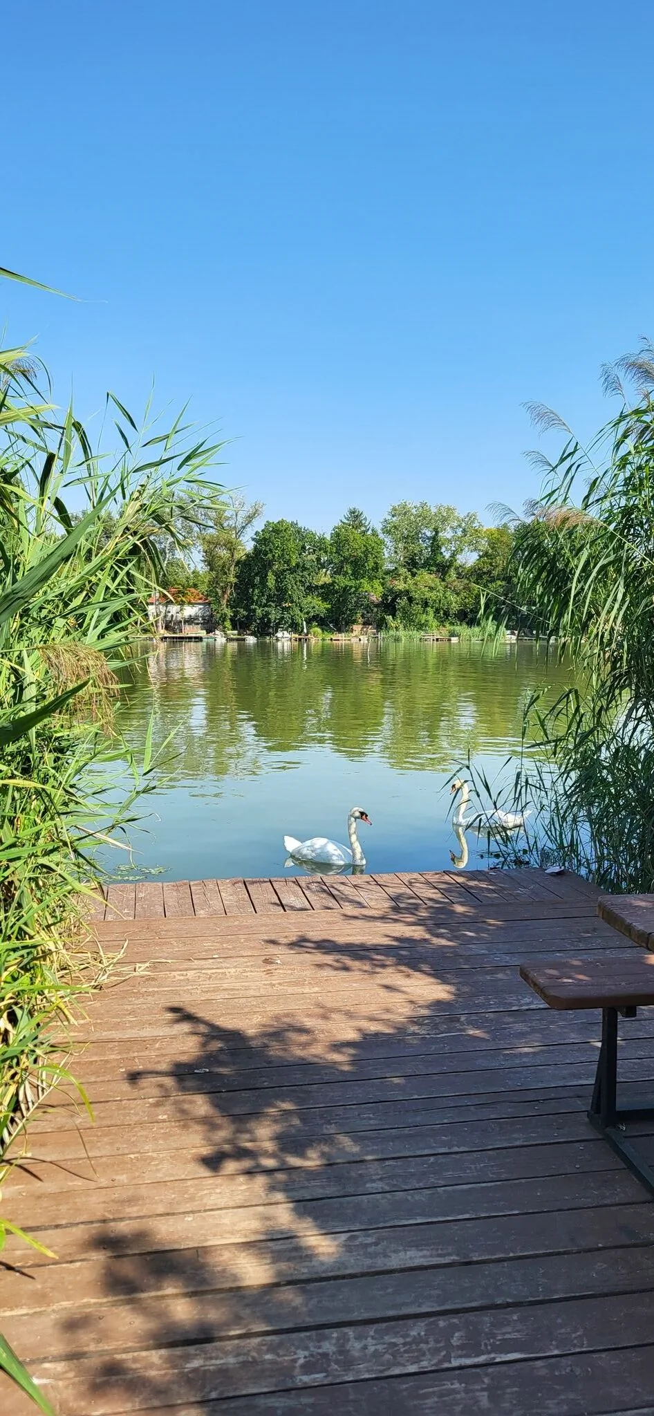 Pecó Kecó Ráckeve – Ráckeve, Ungaria