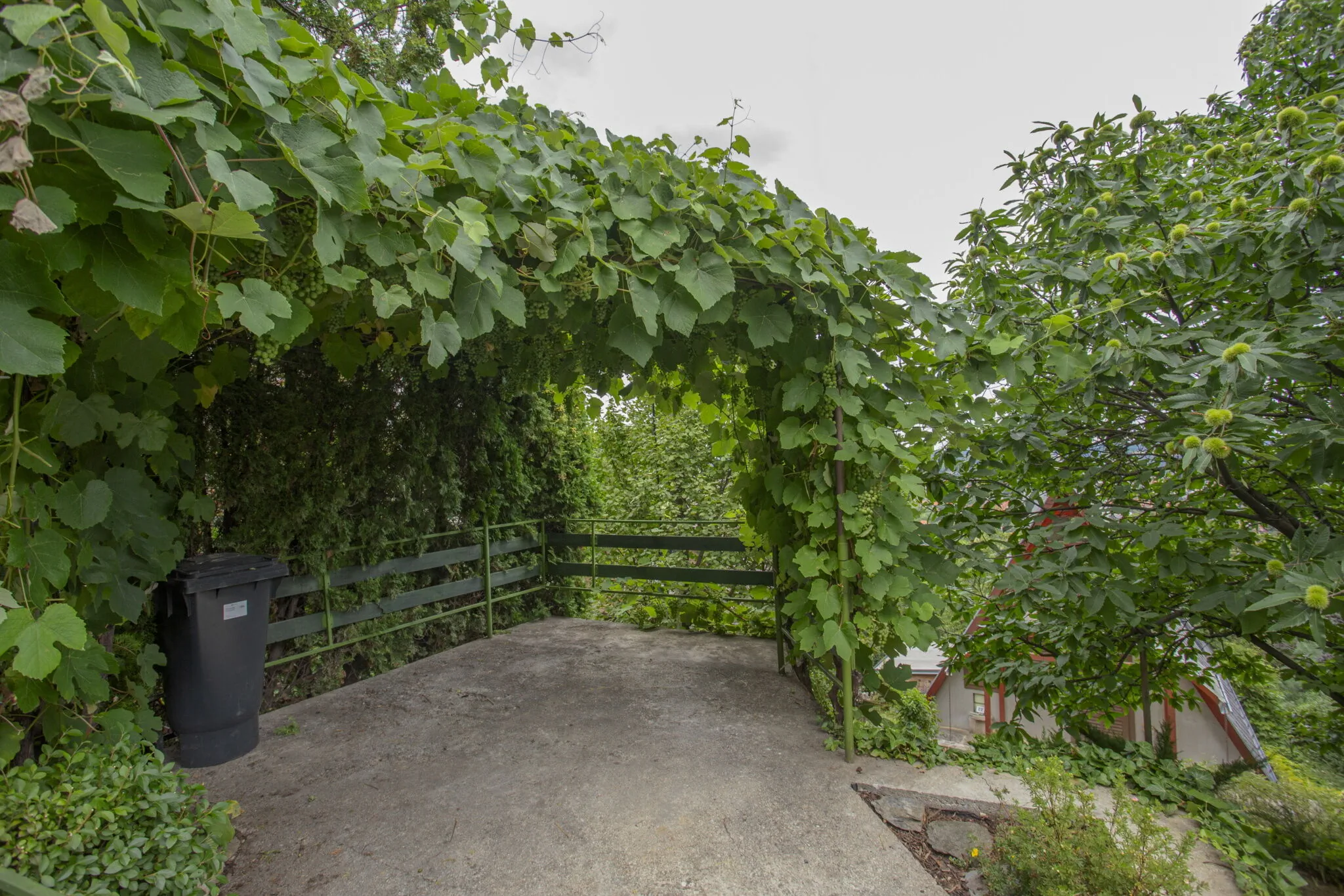 Csücsök Pihenőház Kőszeg - foto 6