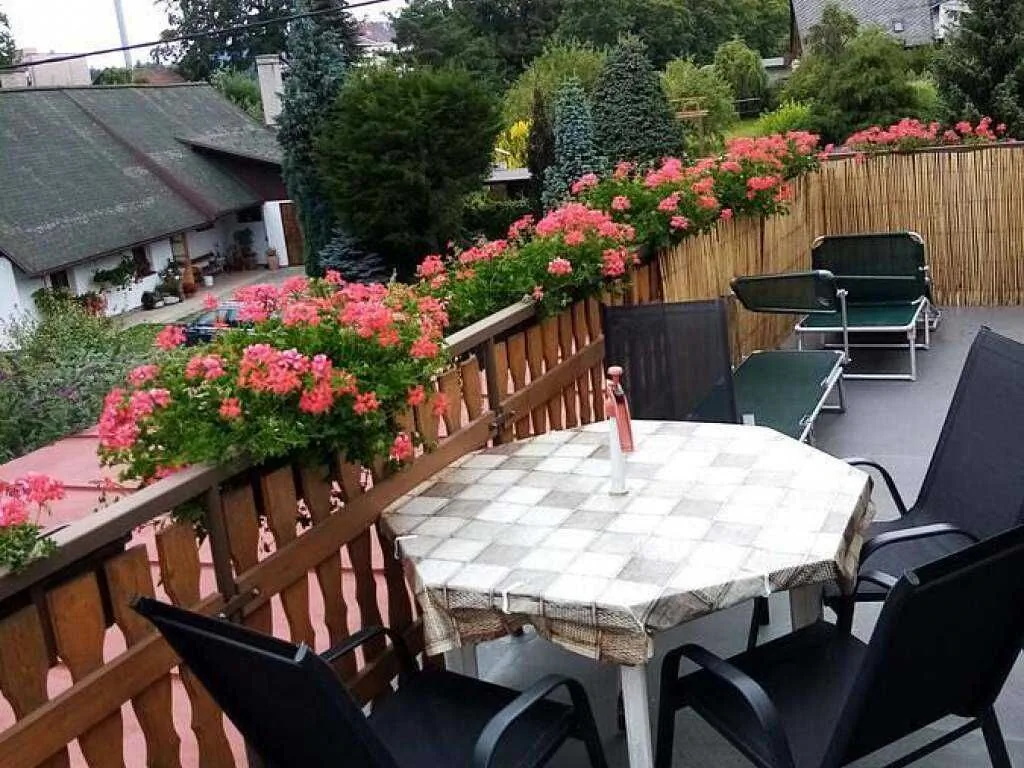 Apartmán Pavel Velké Poříčí - foto 8