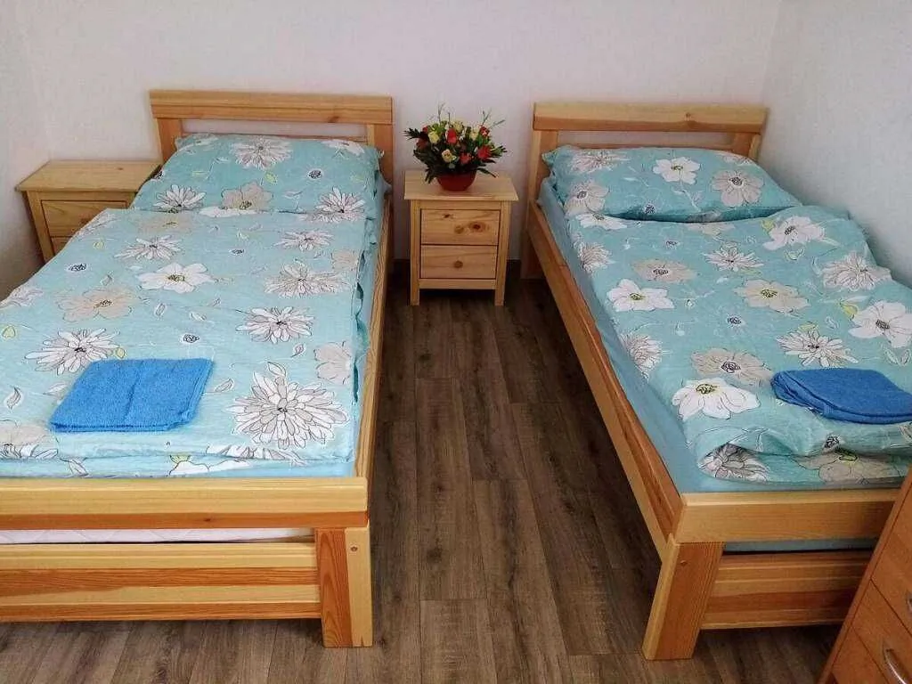 Apartmán Pavel Velké Poříčí - foto 6