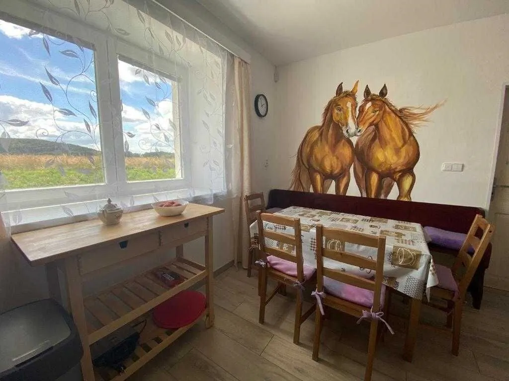 Starý dvůr Třemošnice - foto 4