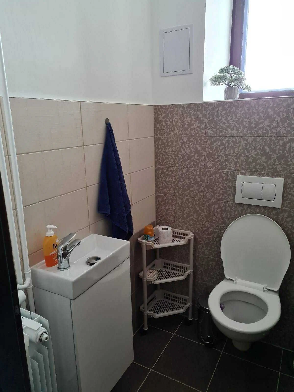 Apartmán Danča Ostrov – Ostrov, Česká republika
