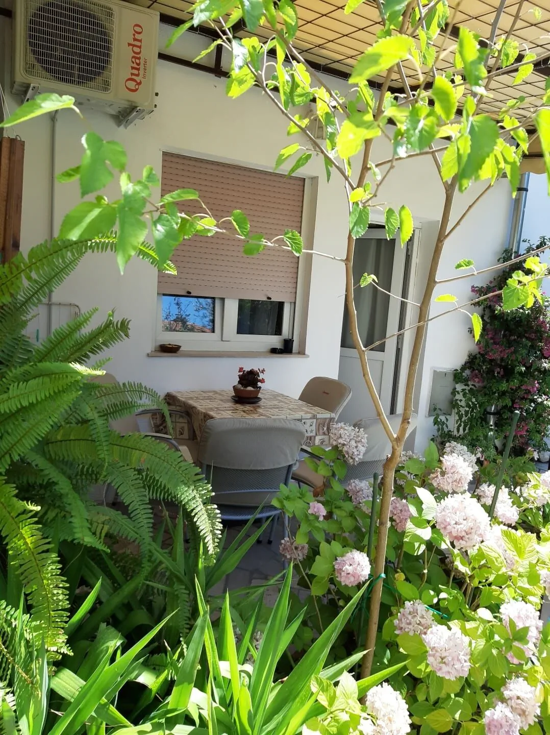 Apartmani Zeleni Raj Dramalj – Dramalj, Croația