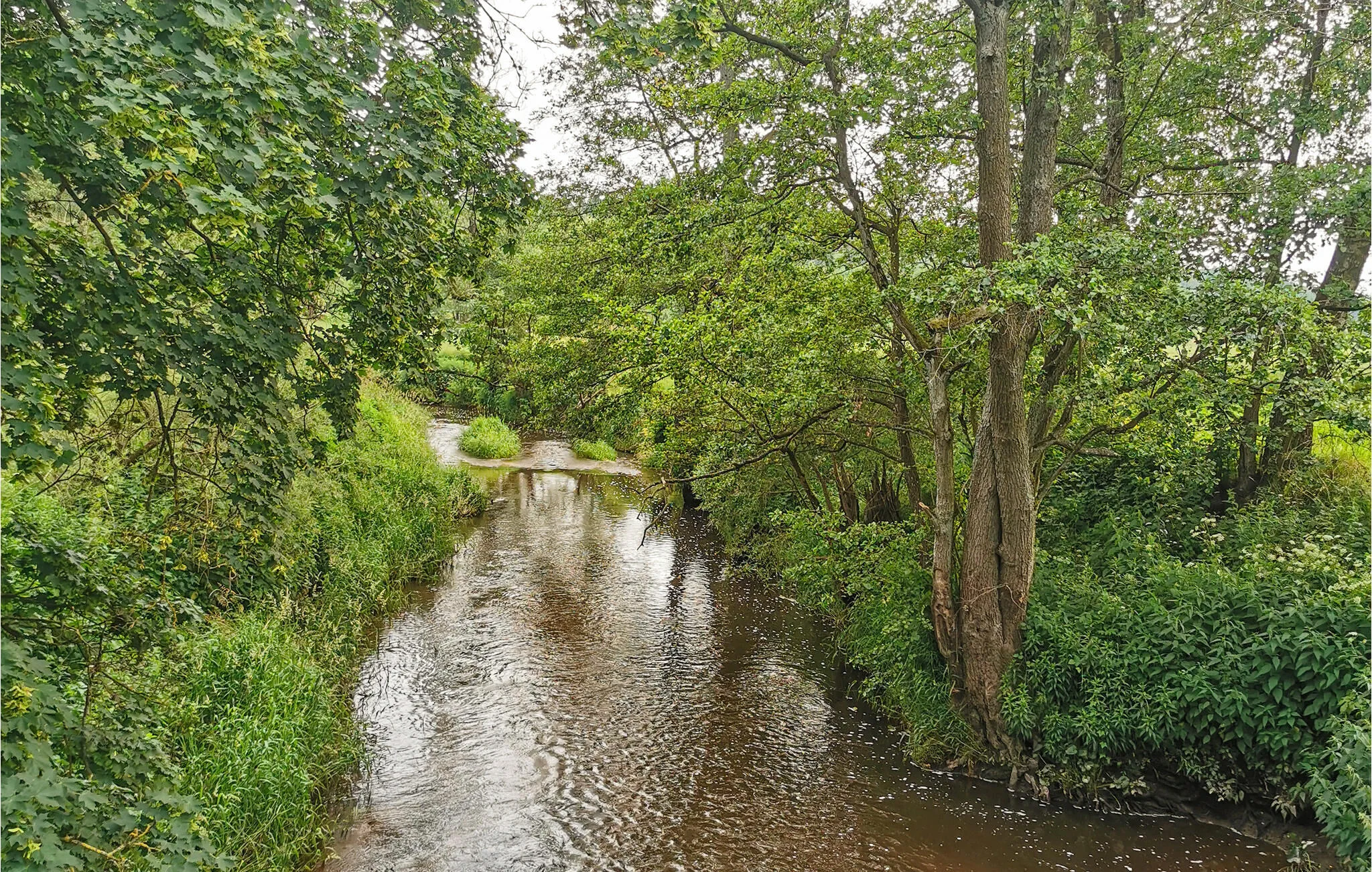 Vendégház Braniewo - PMA025 – Braniewo, Polonia