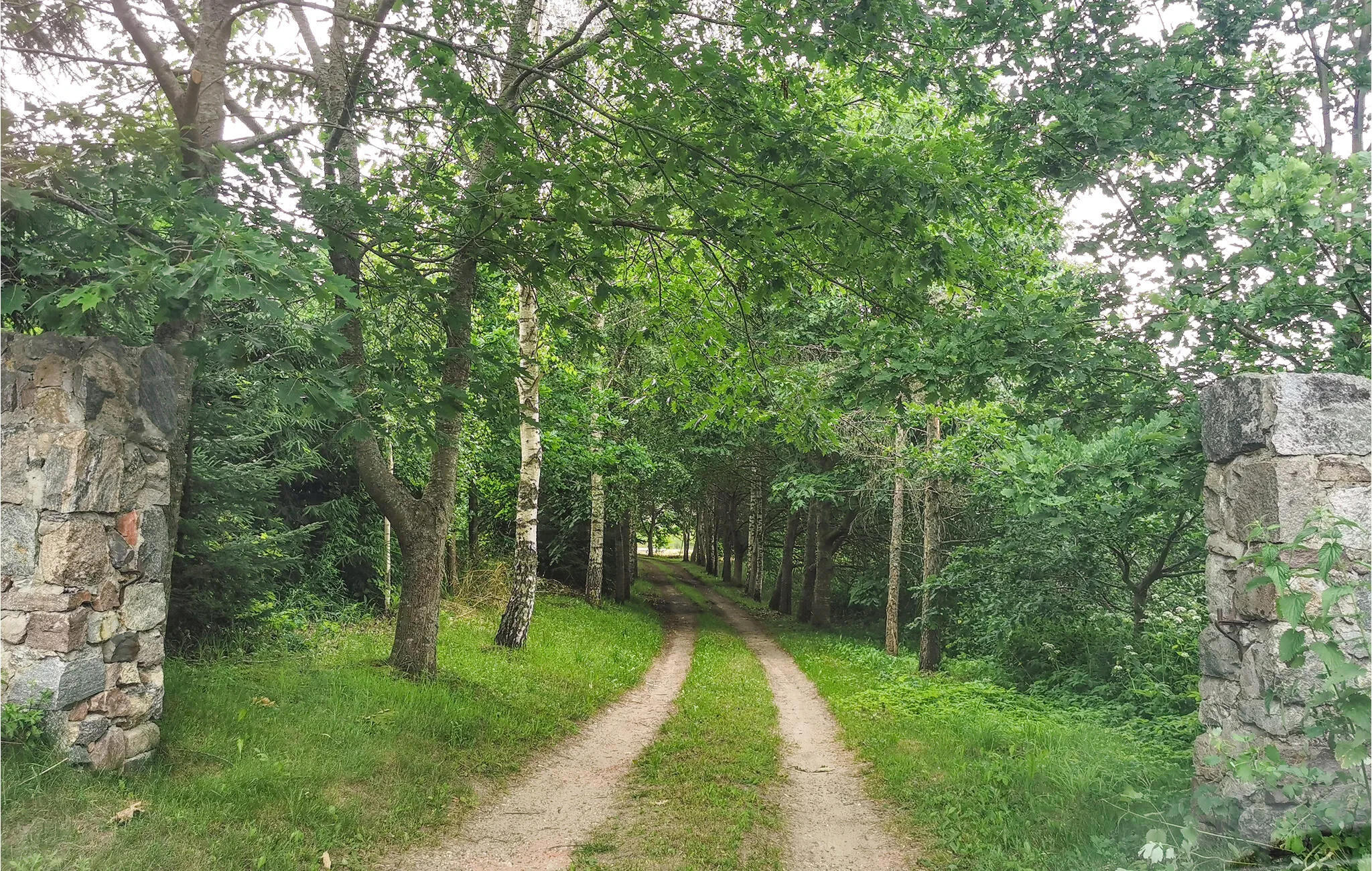 Vendégház Braniewo - PMA025 – Braniewo, Polonia