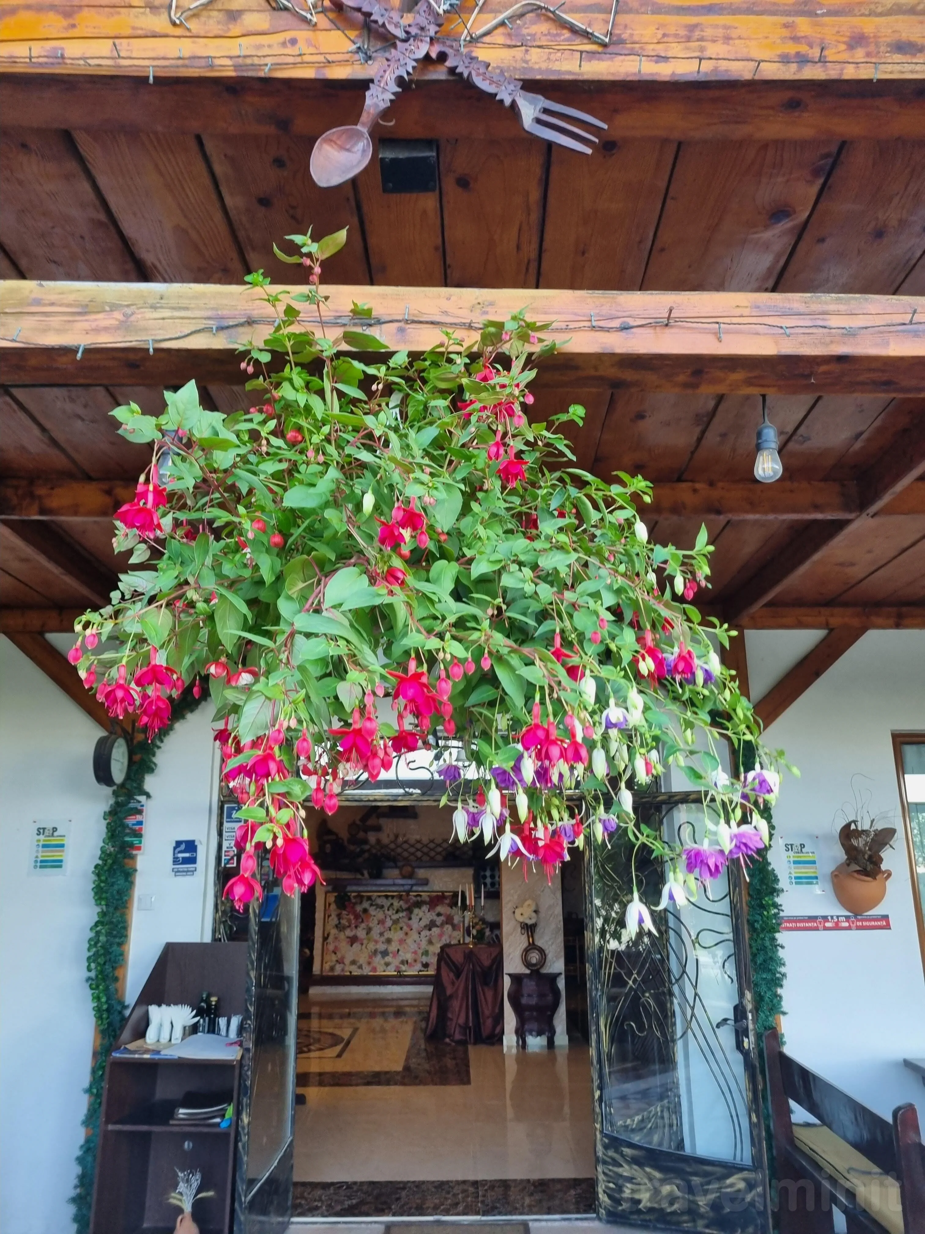 Pensiunea Casa Boierească Iași – Iaşi, Rumunsko