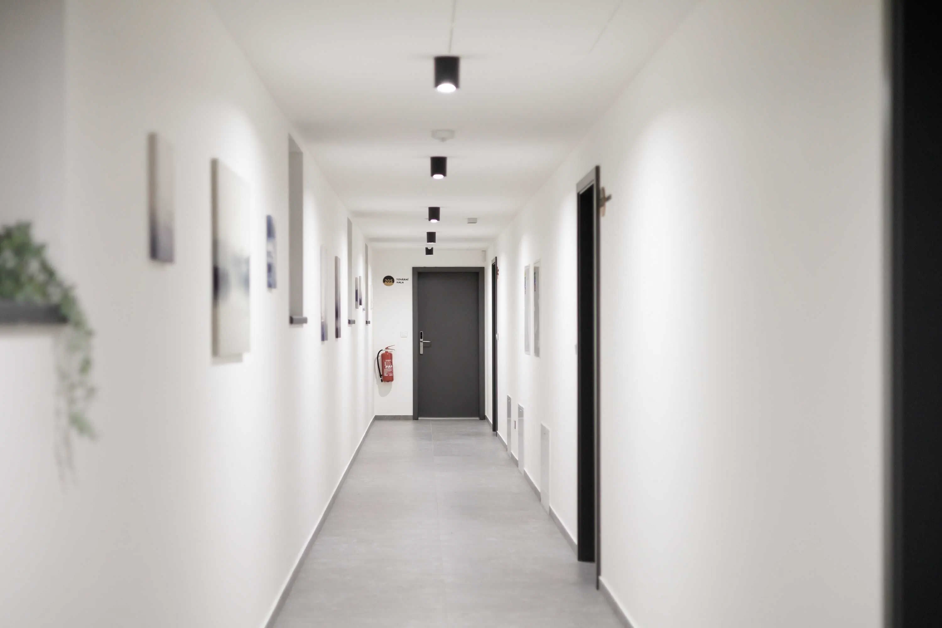 Aparthotel Na Klenici Mladá Boleslav - foto 4