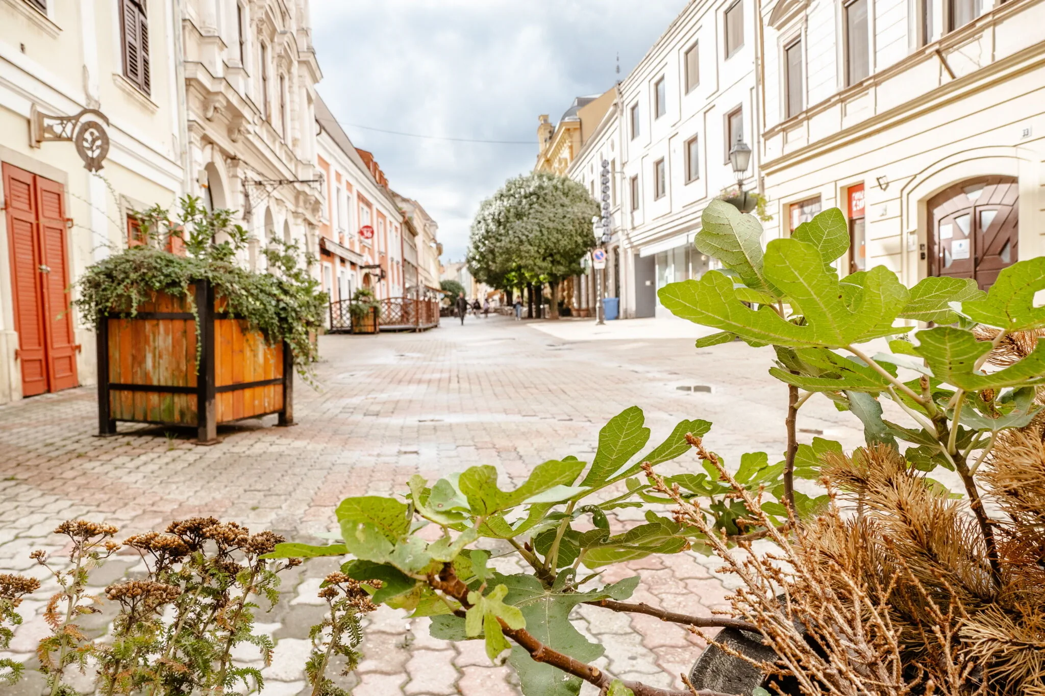 Király 40 Apartman Pécs – Pécs, Ungaria
