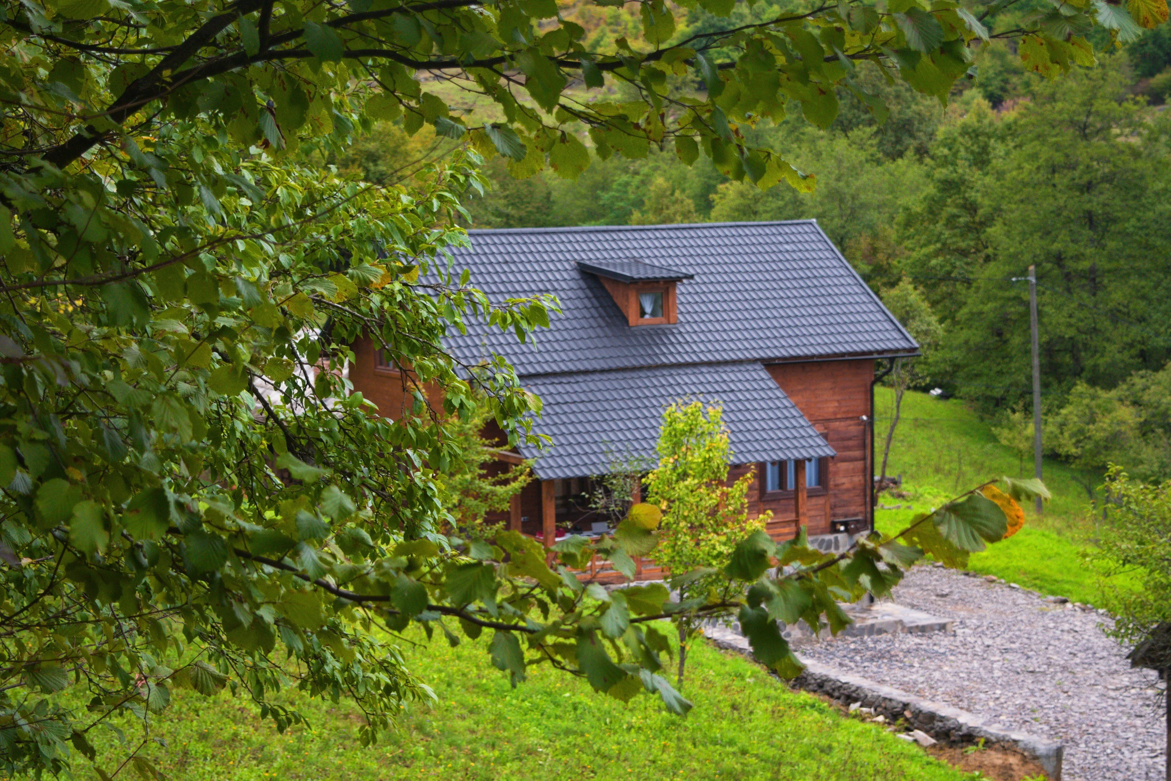 Cabana Codrii Maramuresului Giulești – Giuleşti, România