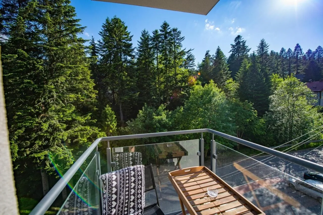 Apartamenty Sun & Snow Zielony Las Krynica-Zdrój - foto 6
