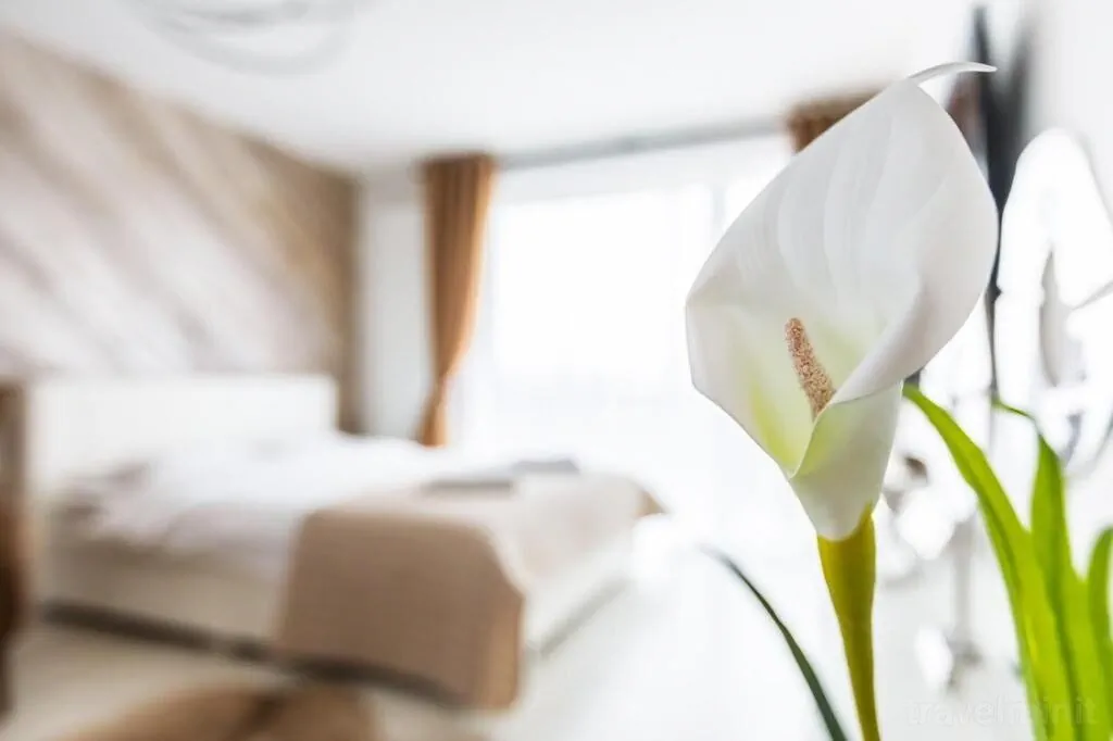 Apartament Alonisos Lux Brașov – Brașov, România