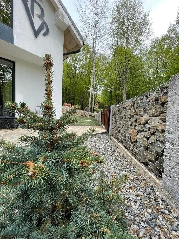 Casa Blanc Văliug – Văliug, România