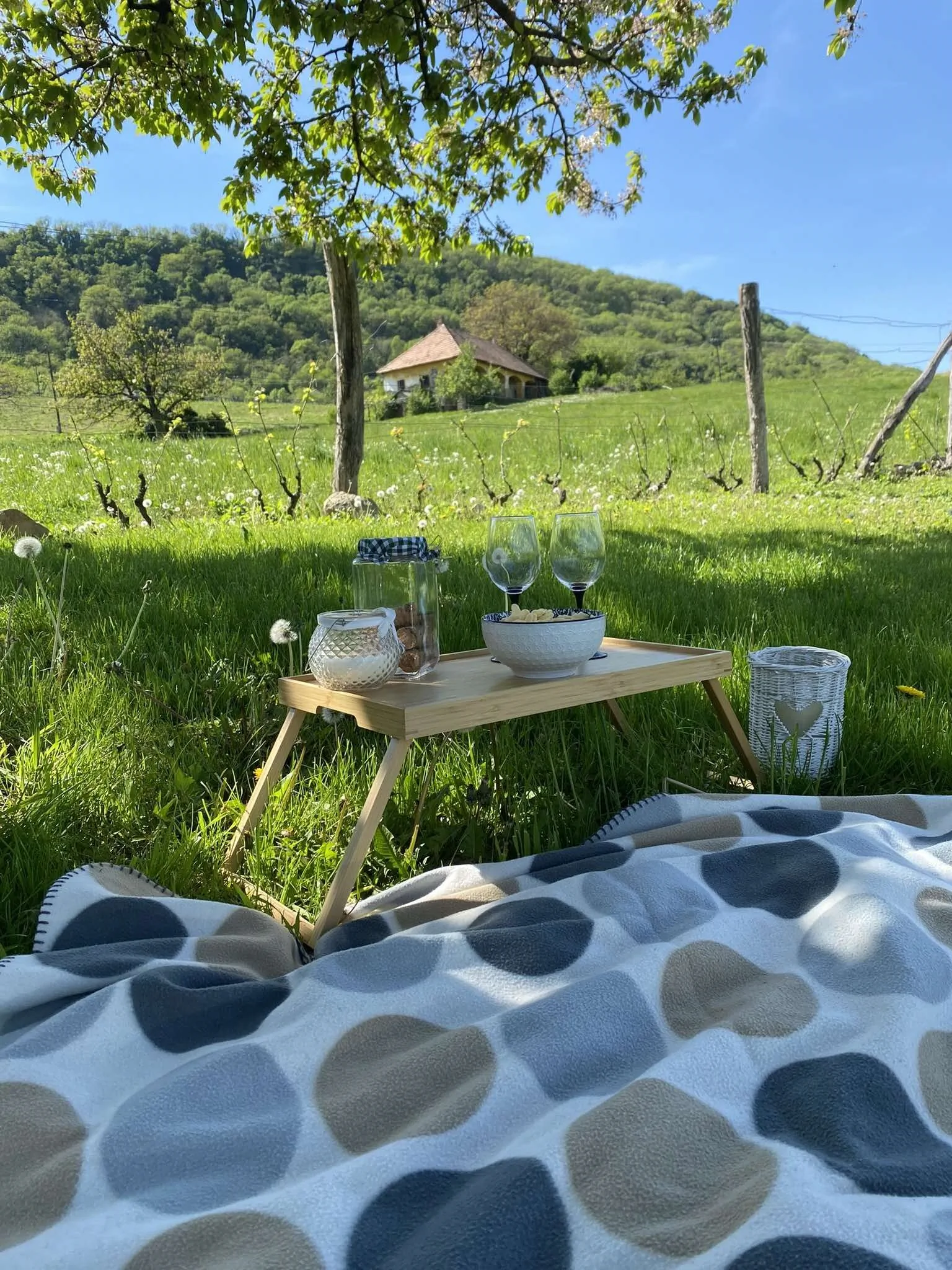 Somlói Provence - foto 1