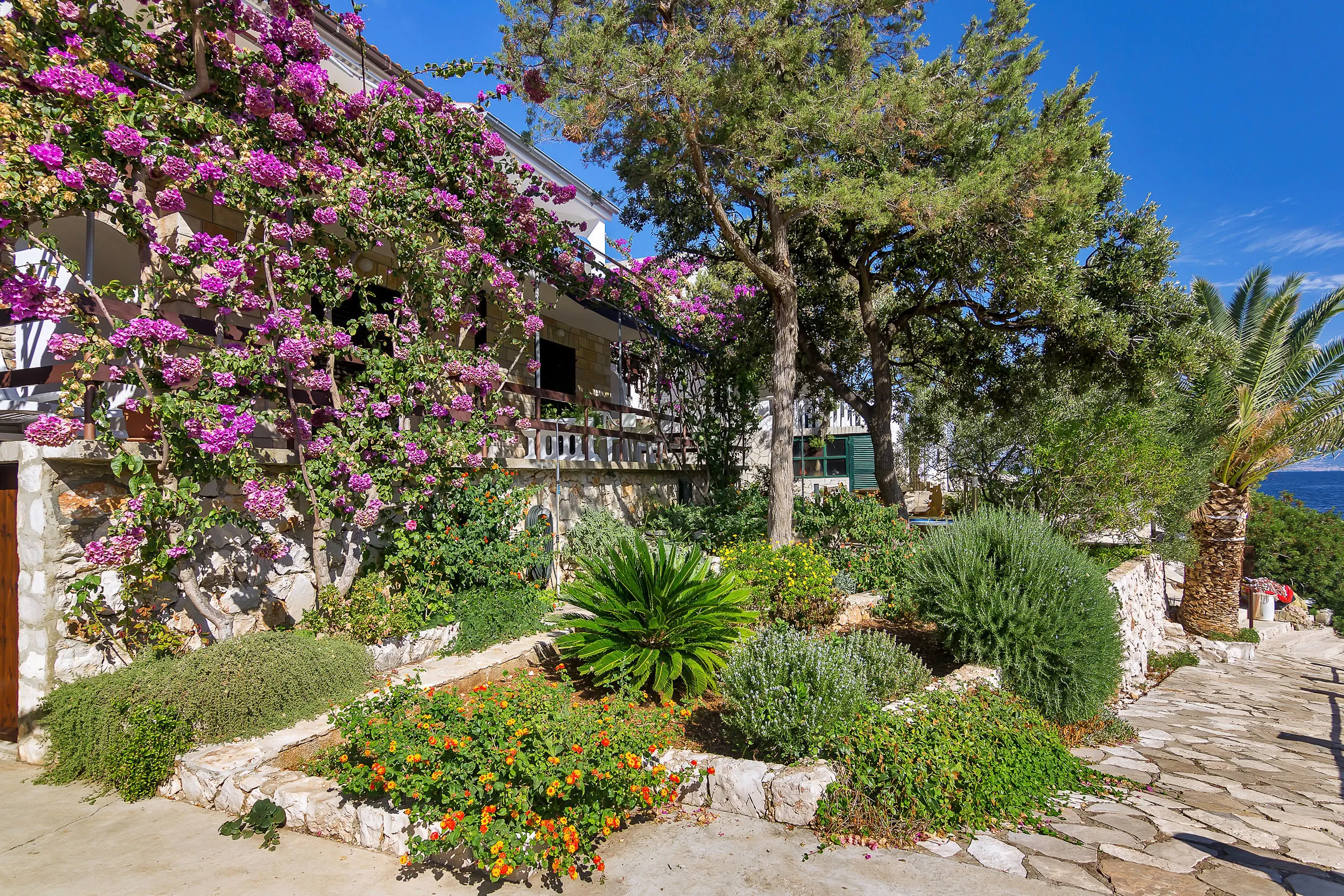 House Sea rose Zastrazisce – Zastražišće, Croația