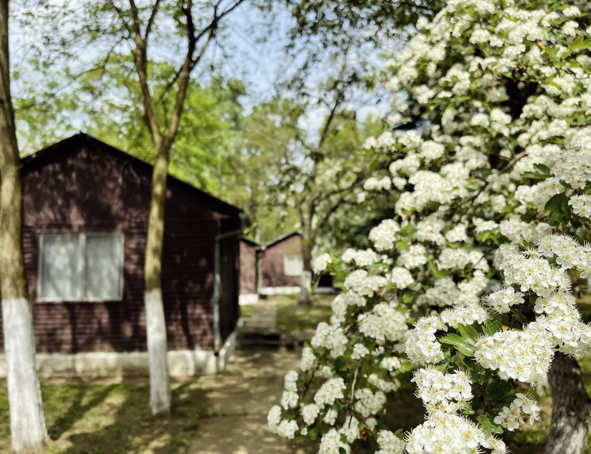 Édes Álom Tábor Nyíregyháza-Sóstó – Nyíregyháza, Ungaria
