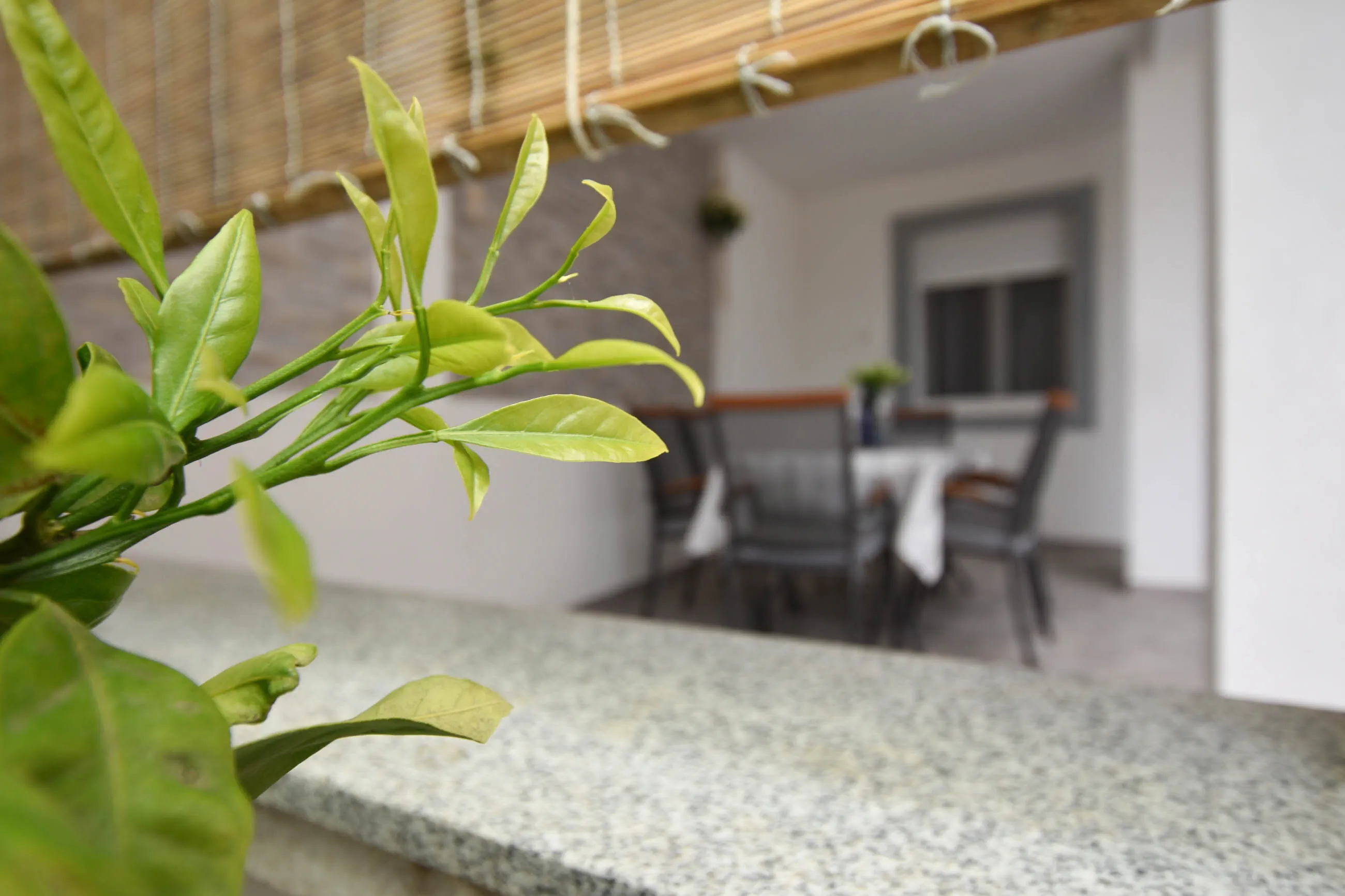 Apartment Rota Turanj - foto 4