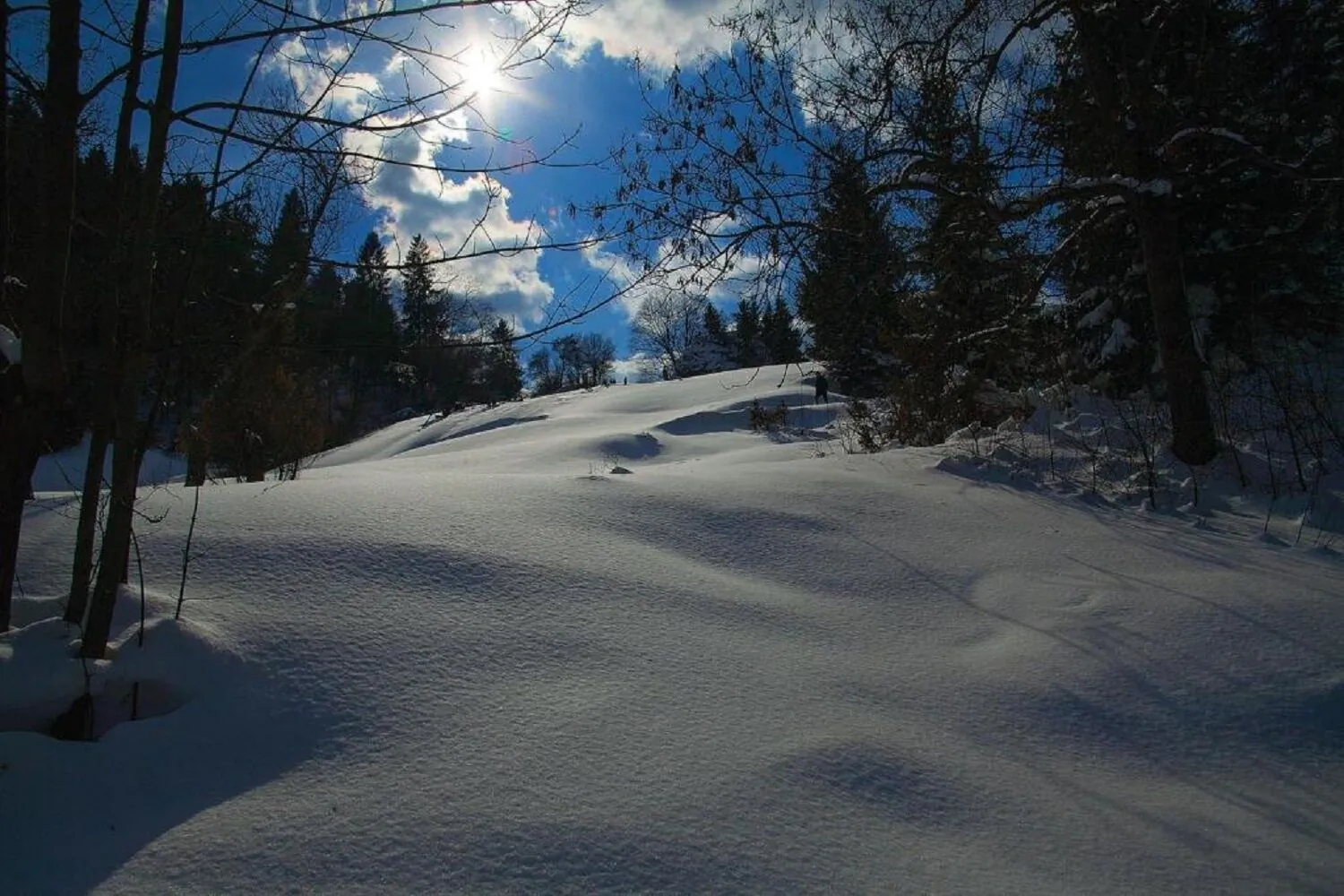 Jaworczański Raj pod Wysoką - z Sauną Szczawnica – Szczawnica, Polonia