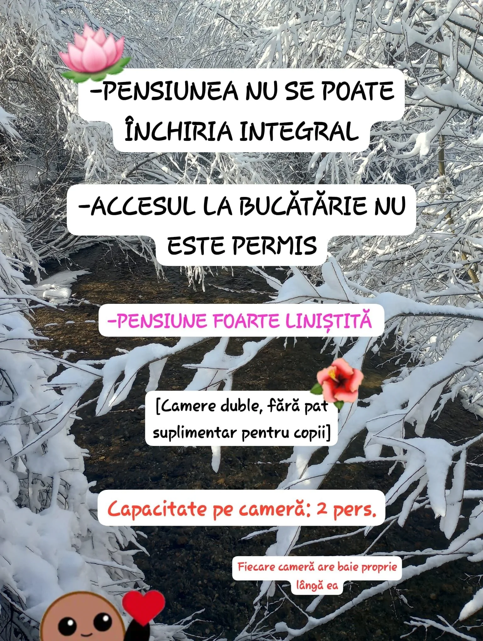 Casa Muntelui Râșnov – Râșnov, România