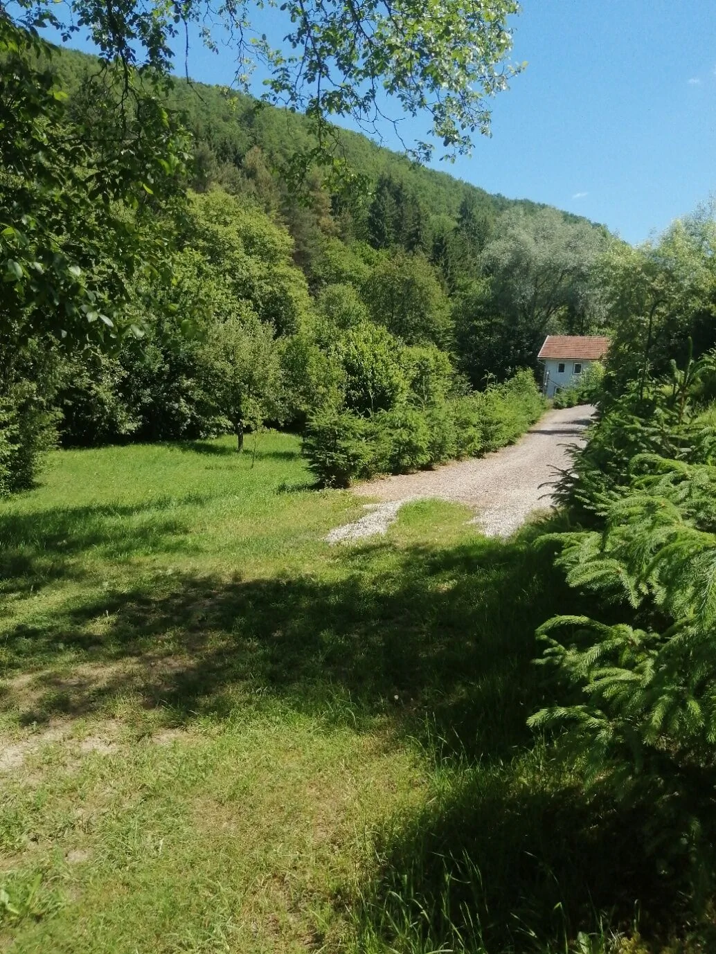 Casa de oaspeți Stânca Zăbala - foto 8
