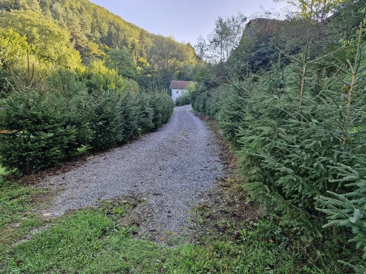 Casa de oaspeți Stânca Zăbala - foto 5