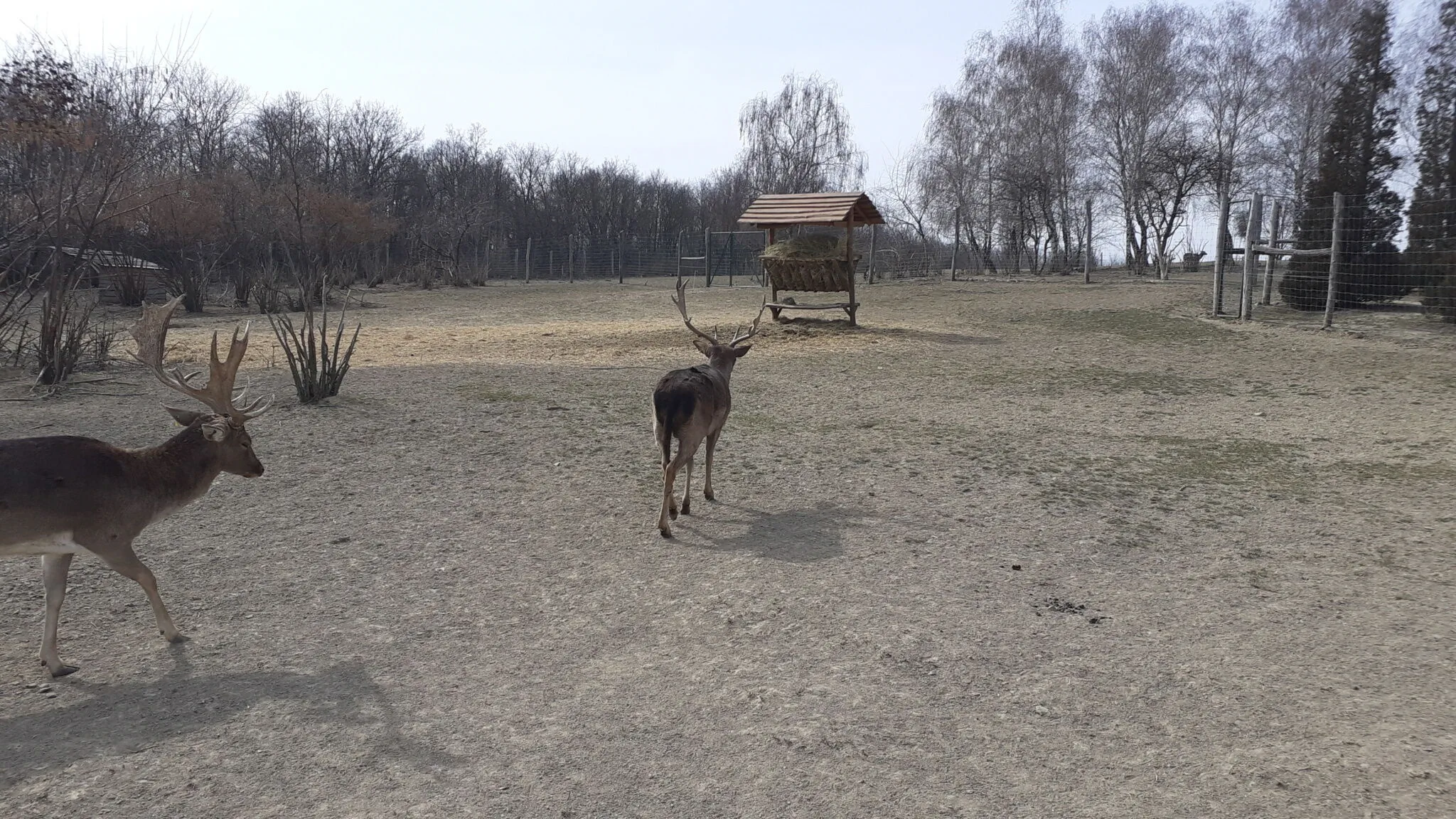 Bíbic Apartman B Kápolnásnyék – Kápolnásnyék, Węgry
