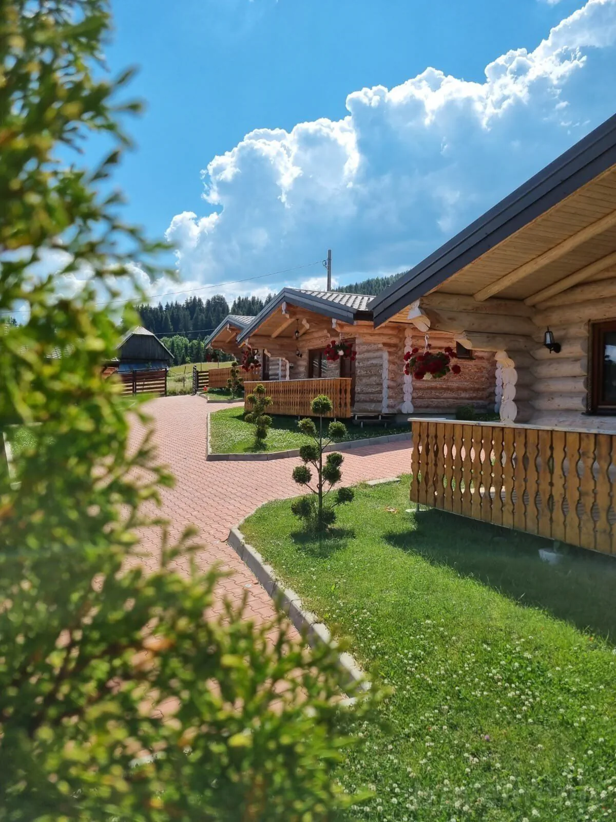 Cabanele Petran Borșa – Borşa, România