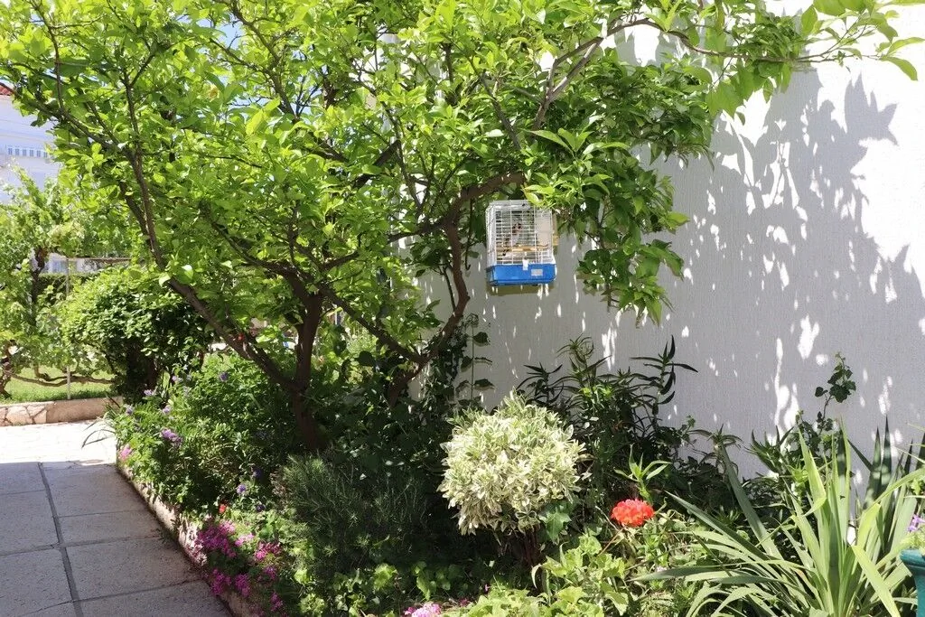 Apartments With Parking Space Barbat, Rab - 20080 Barbat – Barbat, Croația