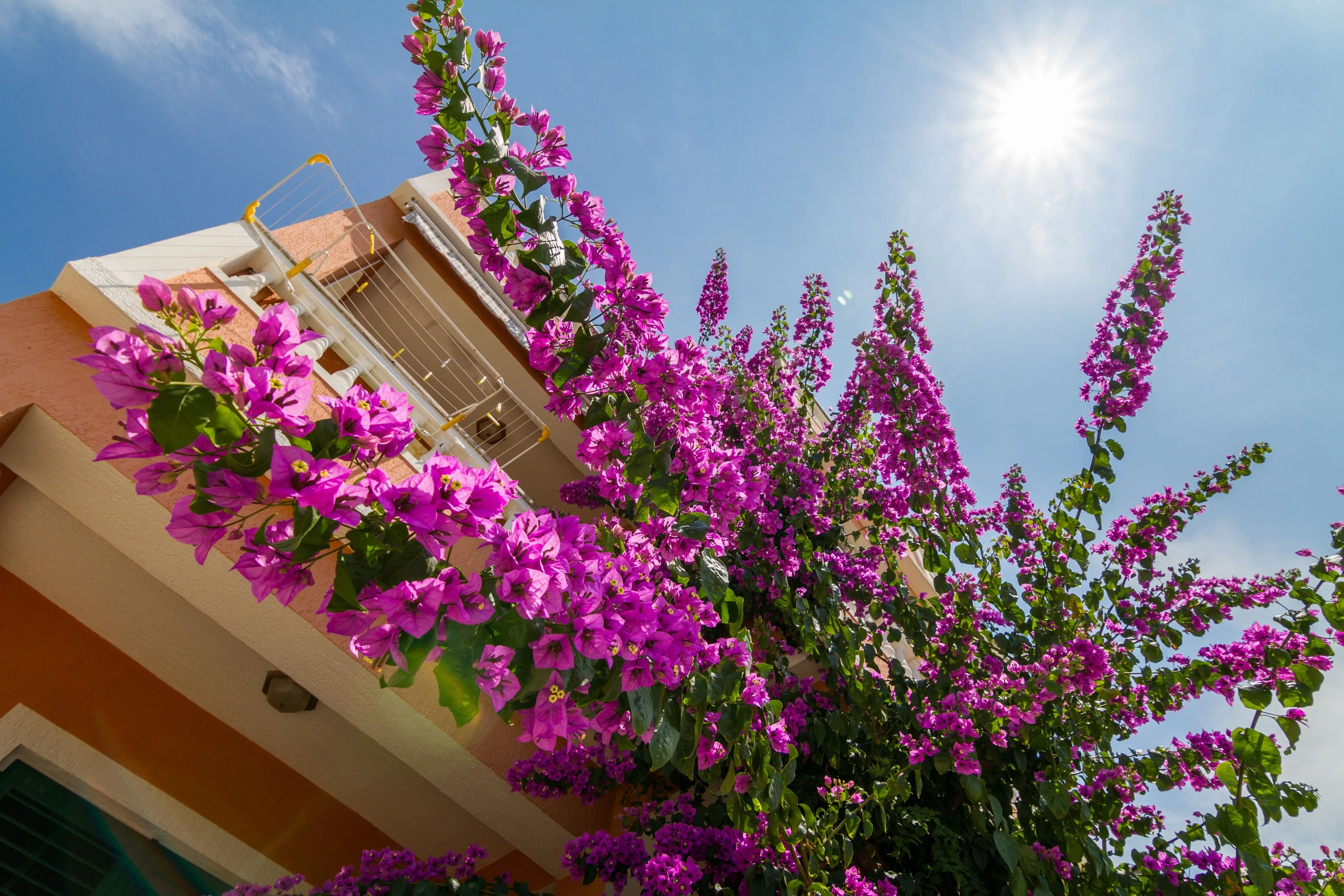 Apartments With Parking Space Barbat, Rab - 20080 Barbat – Barbat, Croația