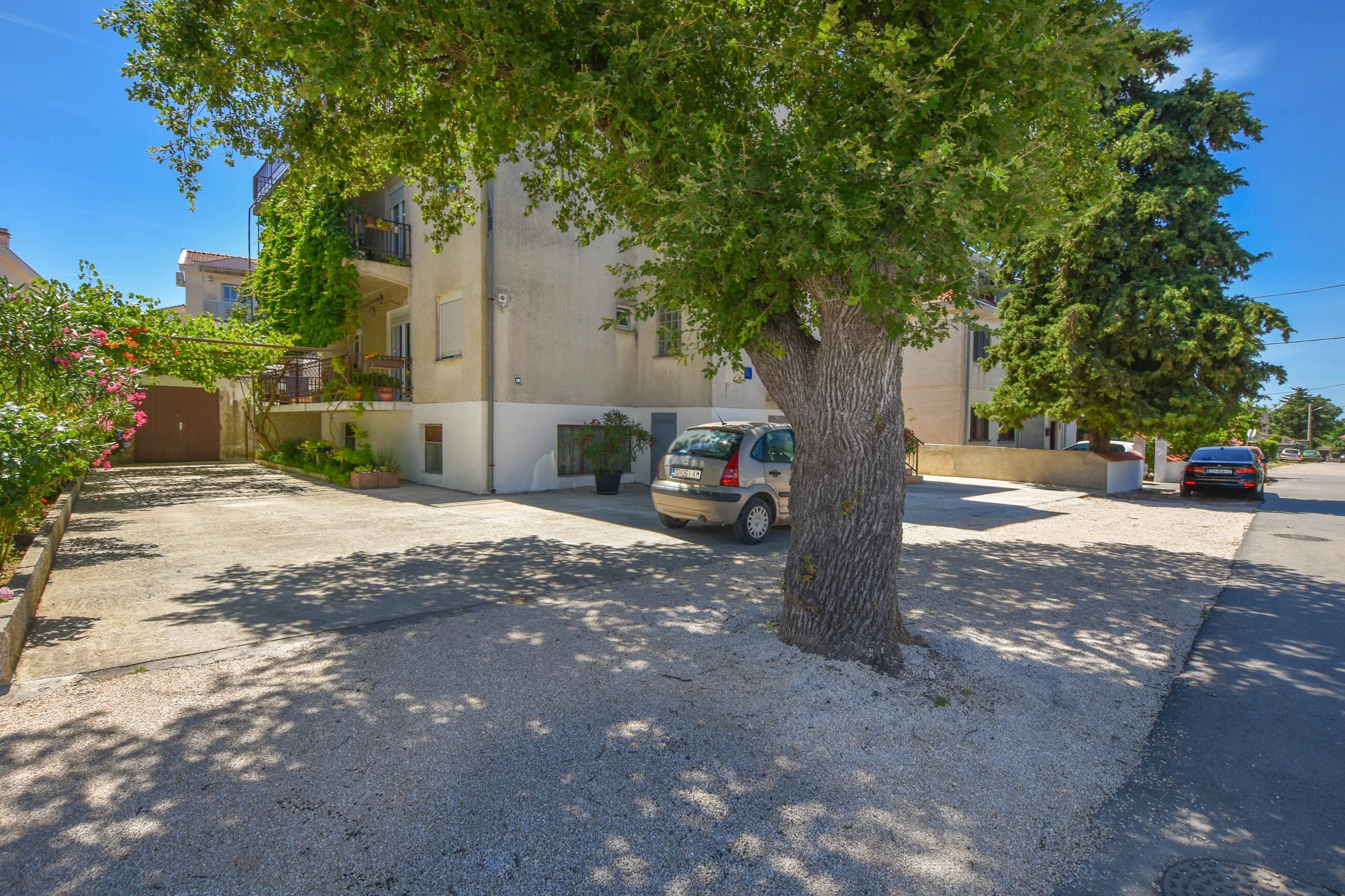 Rooms Oak Tree Biograd - foto 1