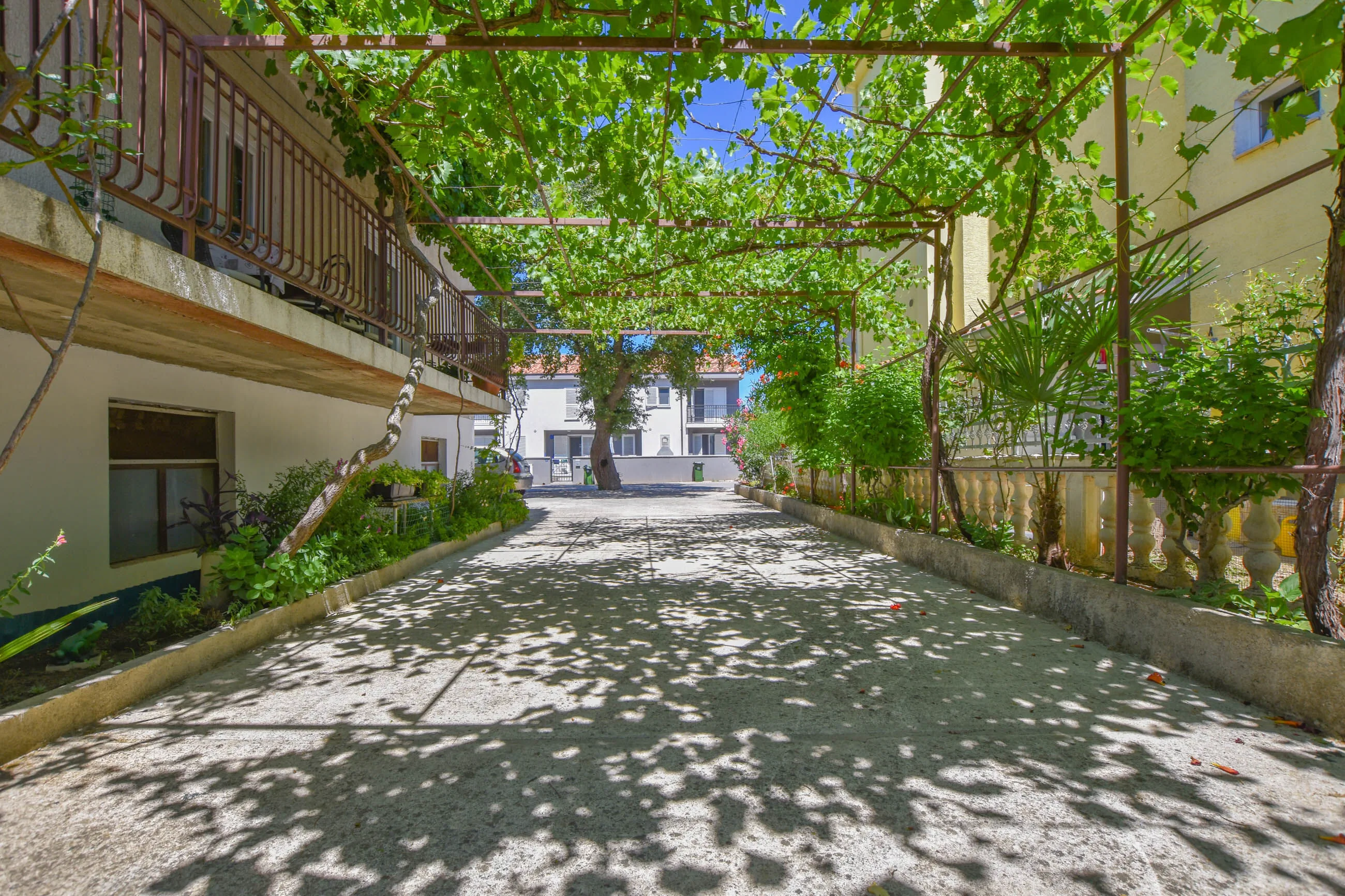 Rooms Oak Tree Biograd - foto 4