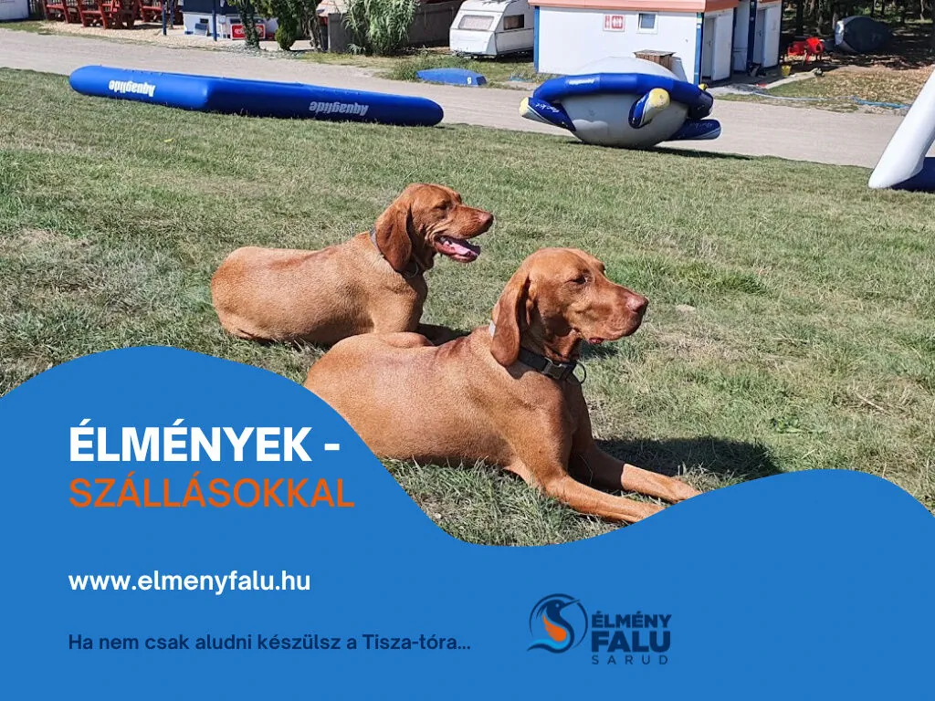 Tőkés Réce Élményporta Sarud – Sarud, Ungaria