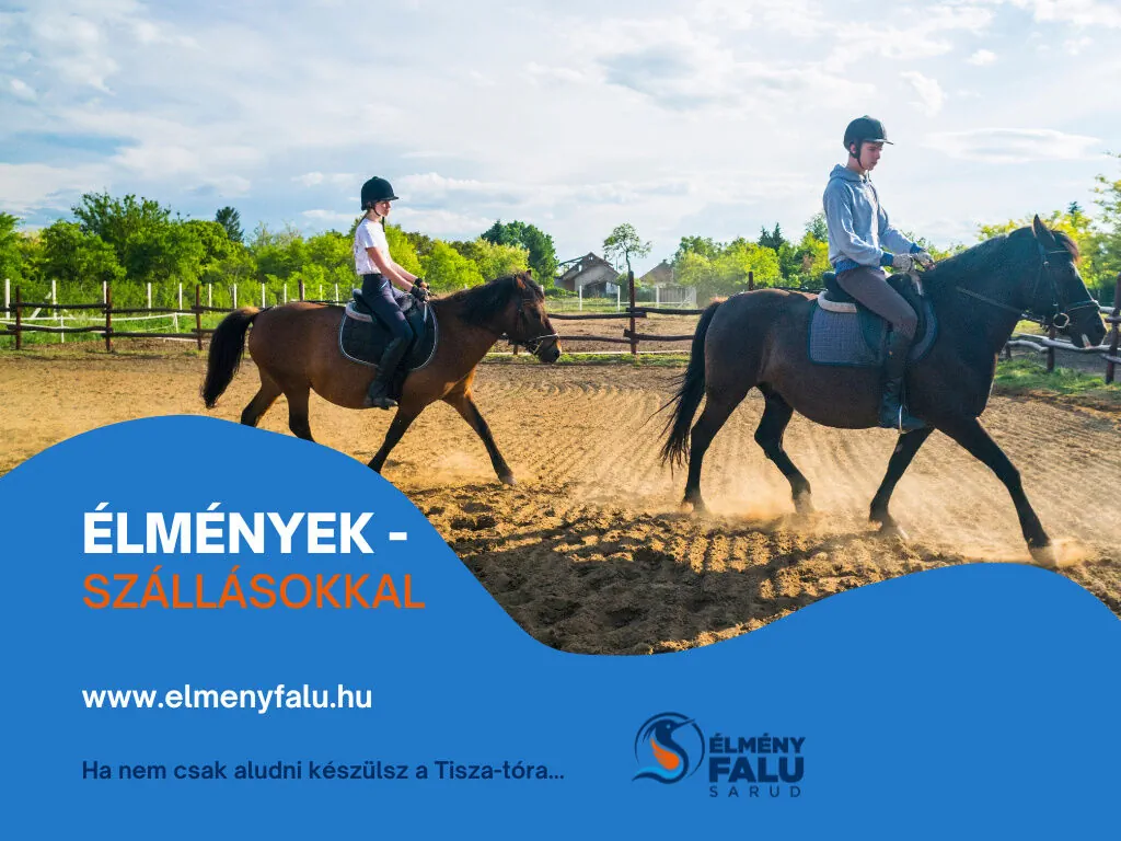 Tőkés Réce Élményporta Sarud – Sarud, Ungaria