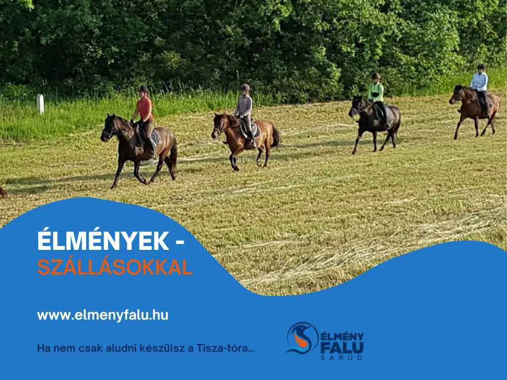 Tőkés Réce Élményporta Sarud – Sarud, Ungaria