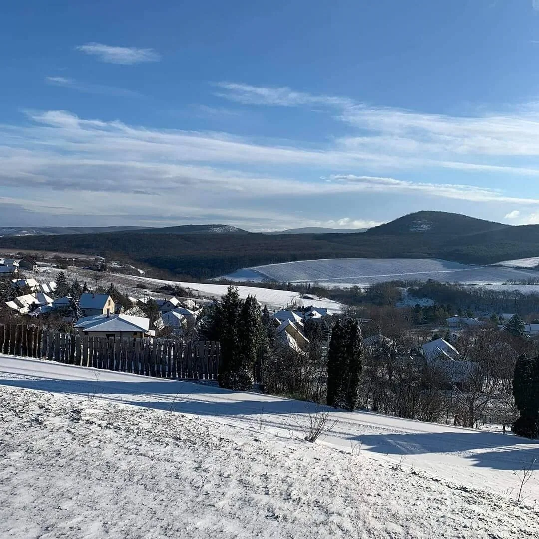 Hillside Apartman Dunaszentmiklós – Dunaszentmiklós, Ungaria