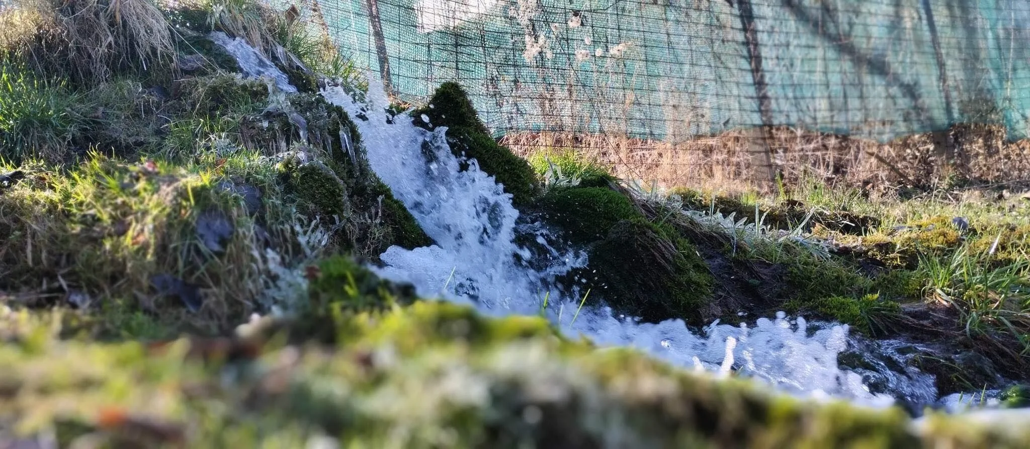 Almáskert Vendégház Mónosbél - foto 4